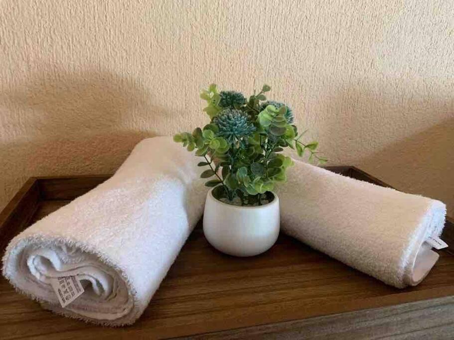 Hazyview Vacations - Serenity Garden Place - Property Image 50