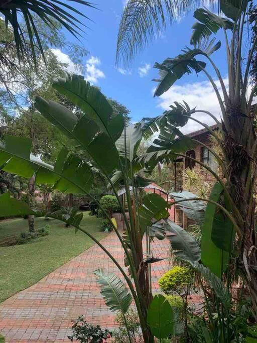 Hazyview Vacations - Serenity Garden Place - Property Image 46