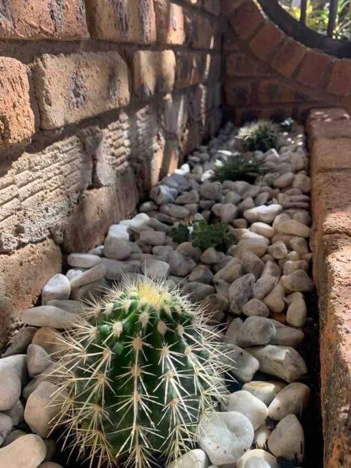 Hazyview Vacations - Serenity Garden Place - Property Image 29