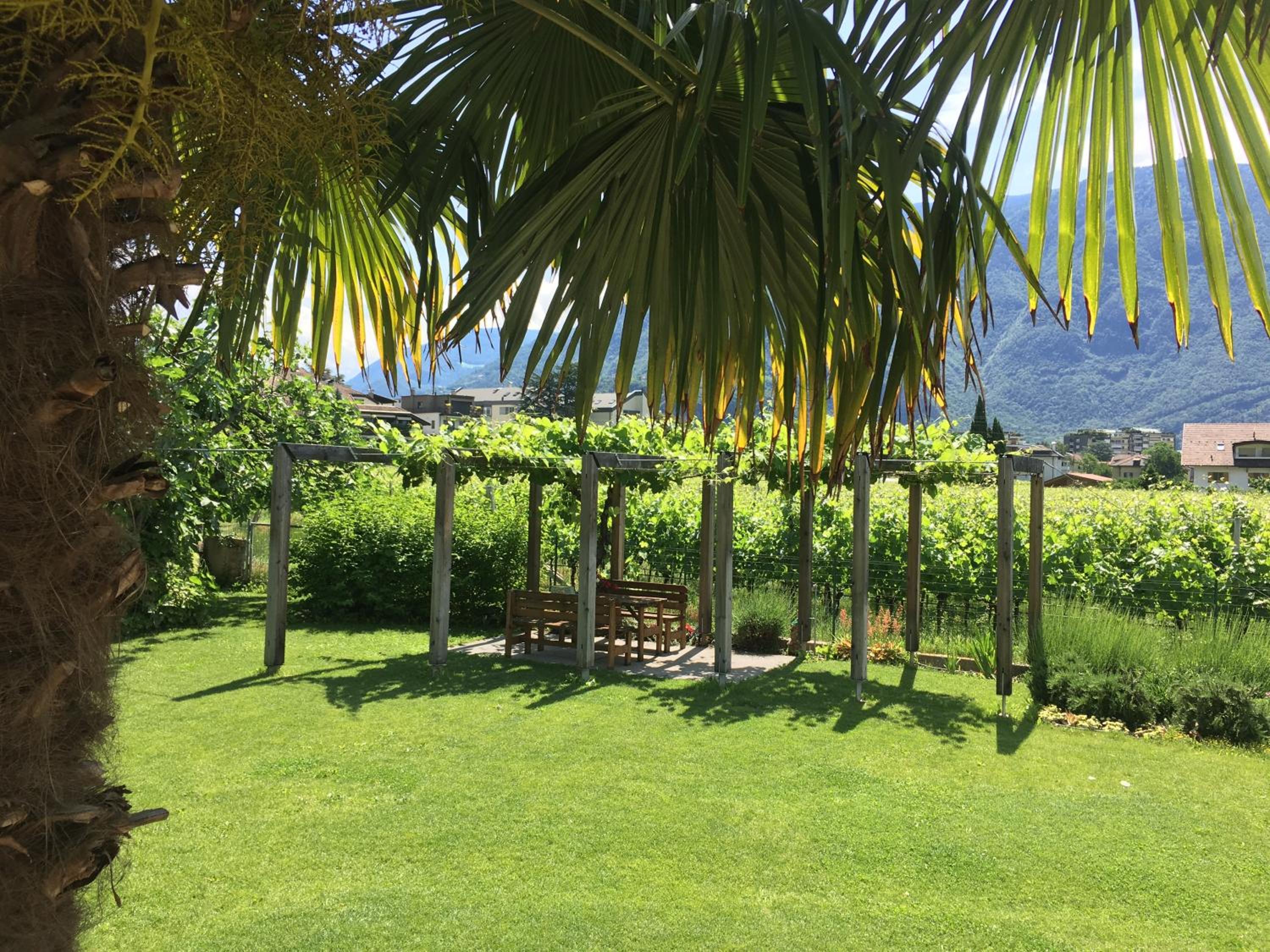 Apartment Villa Huber