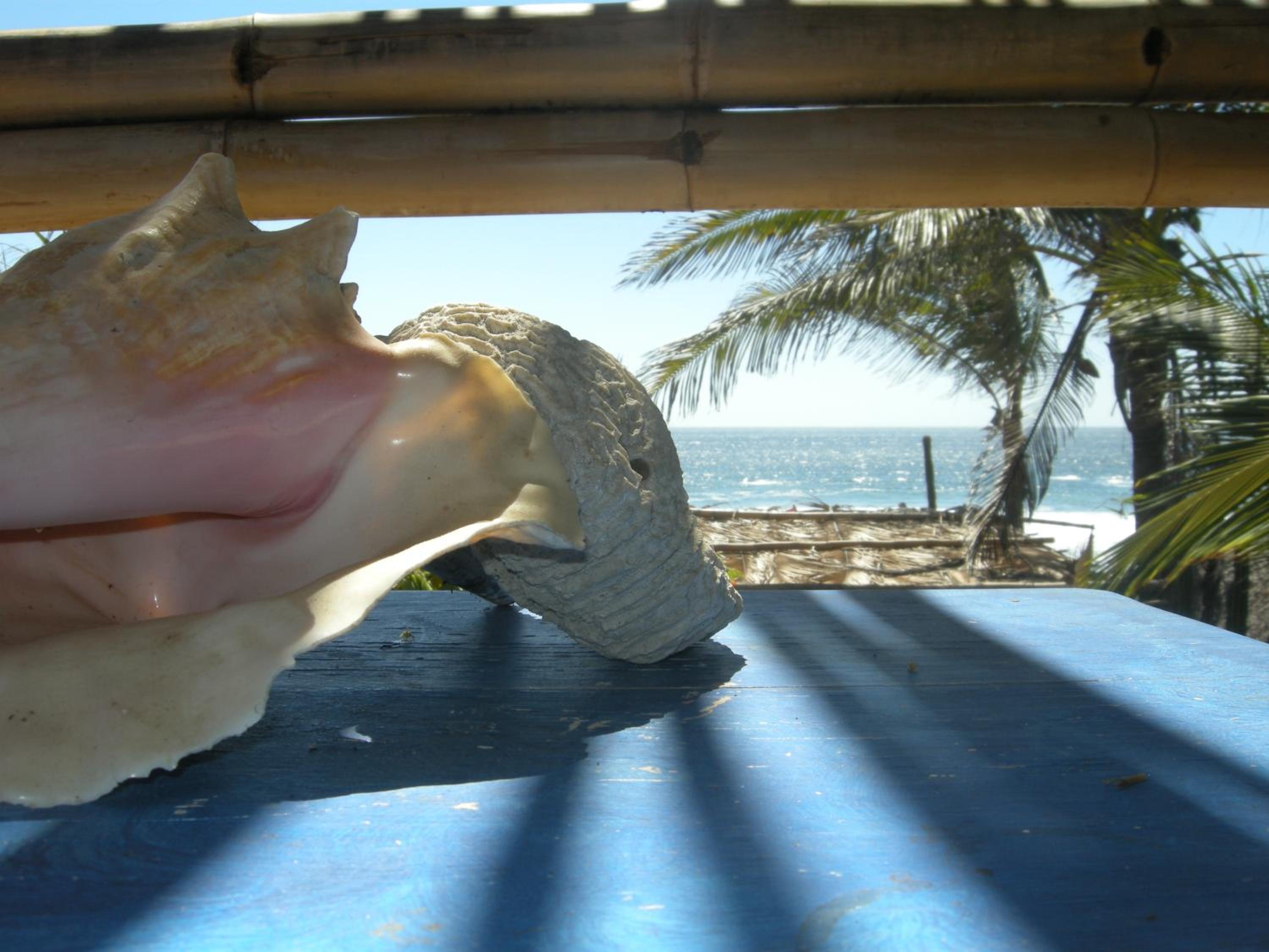 Bambú Ecocabañas