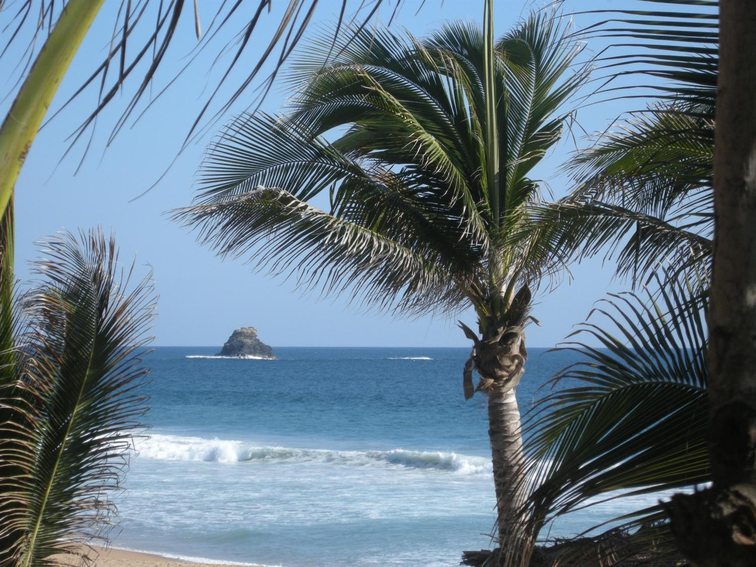 Bambú Ecocabañas