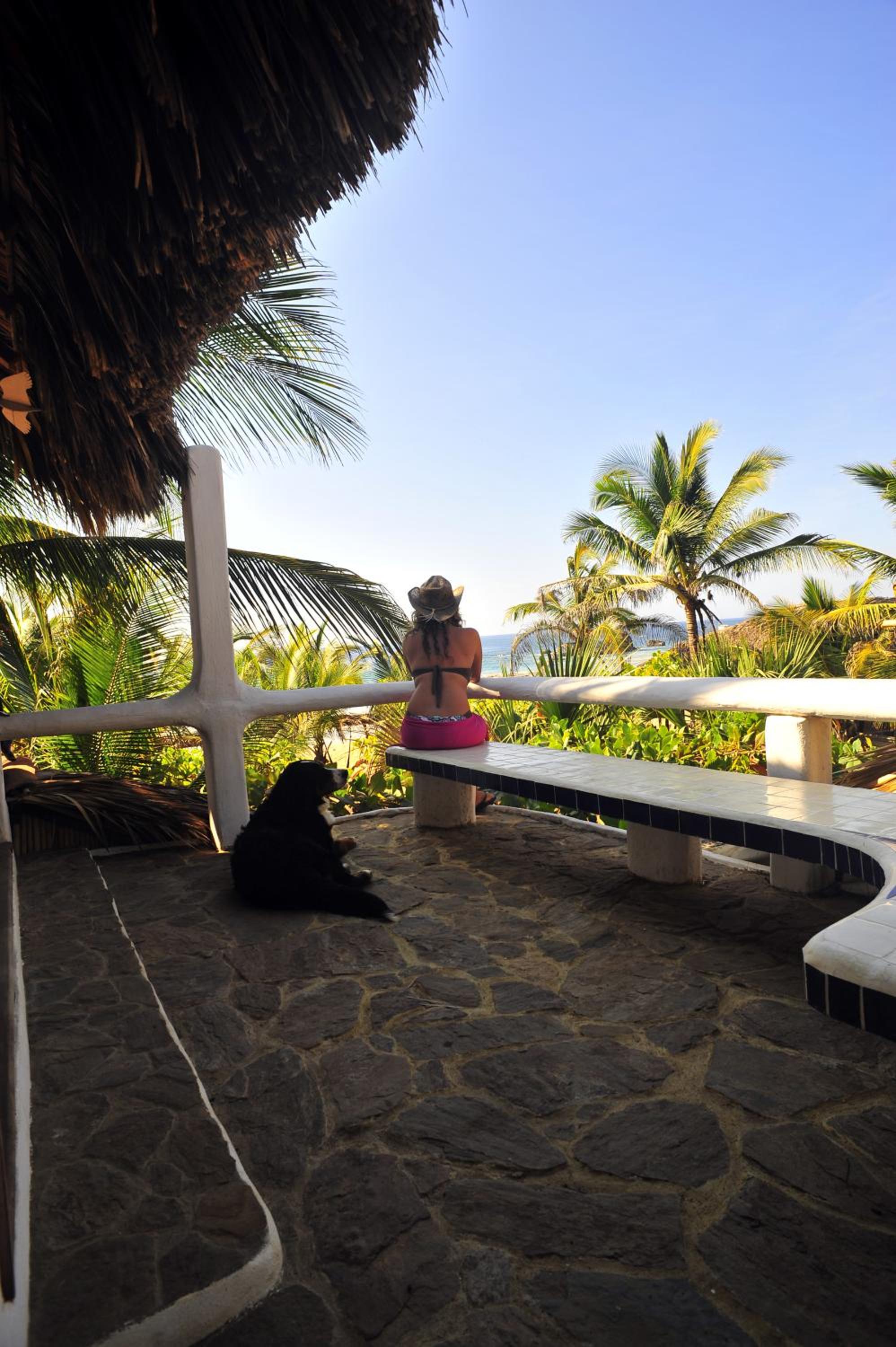Bambú Ecocabañas
