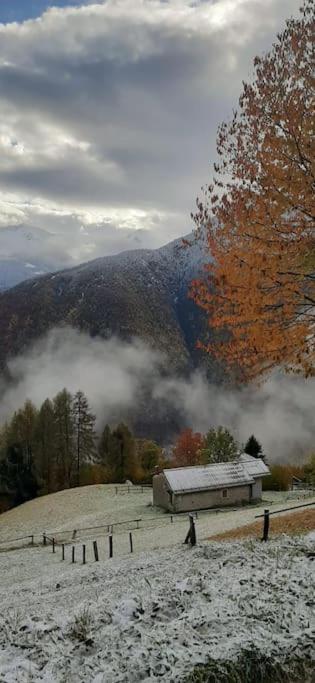 Photo 43