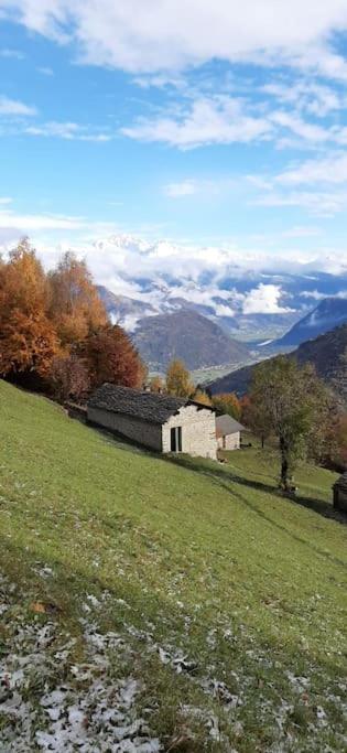 Photo 44