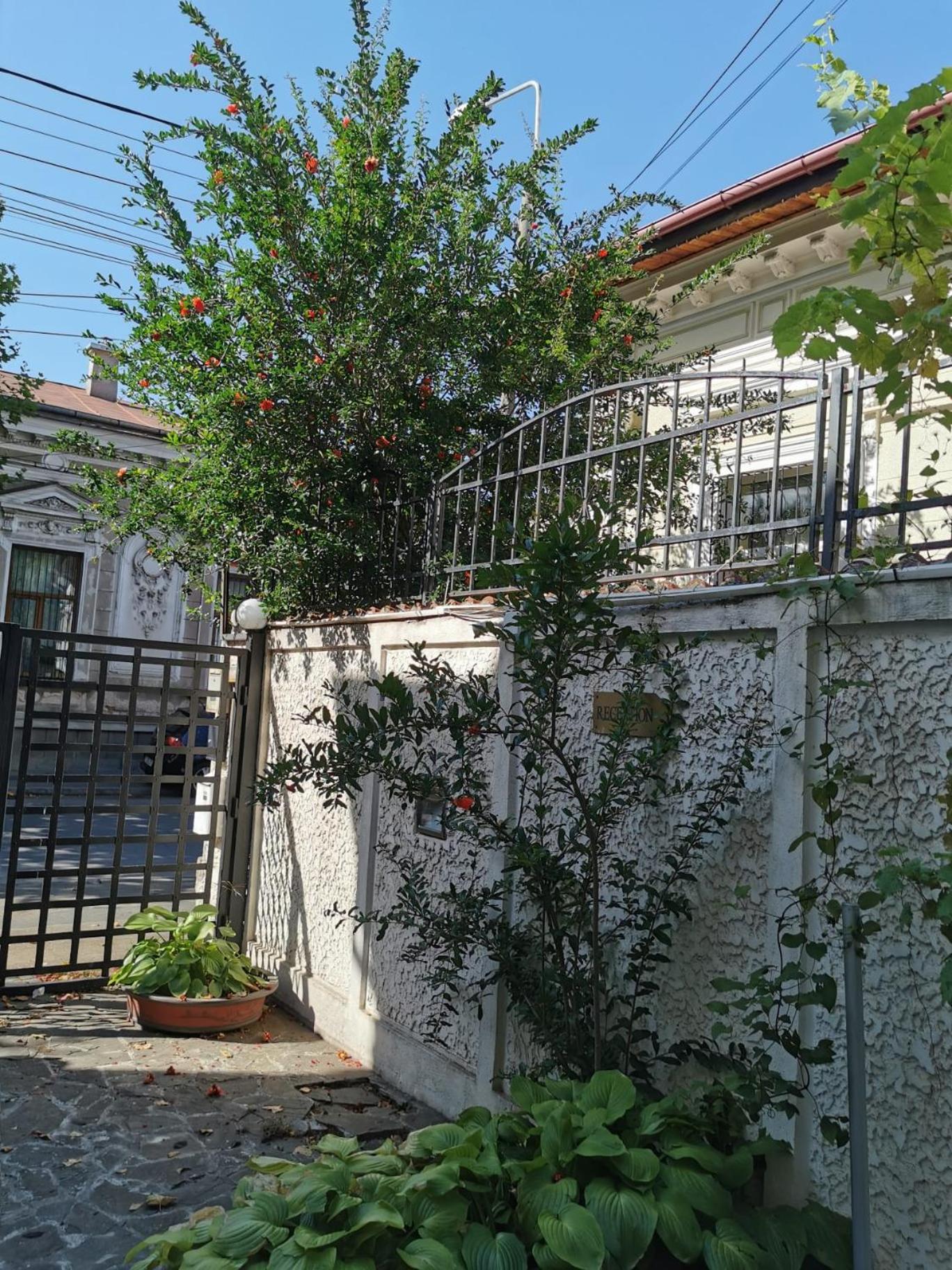 Prince Residence Apartments