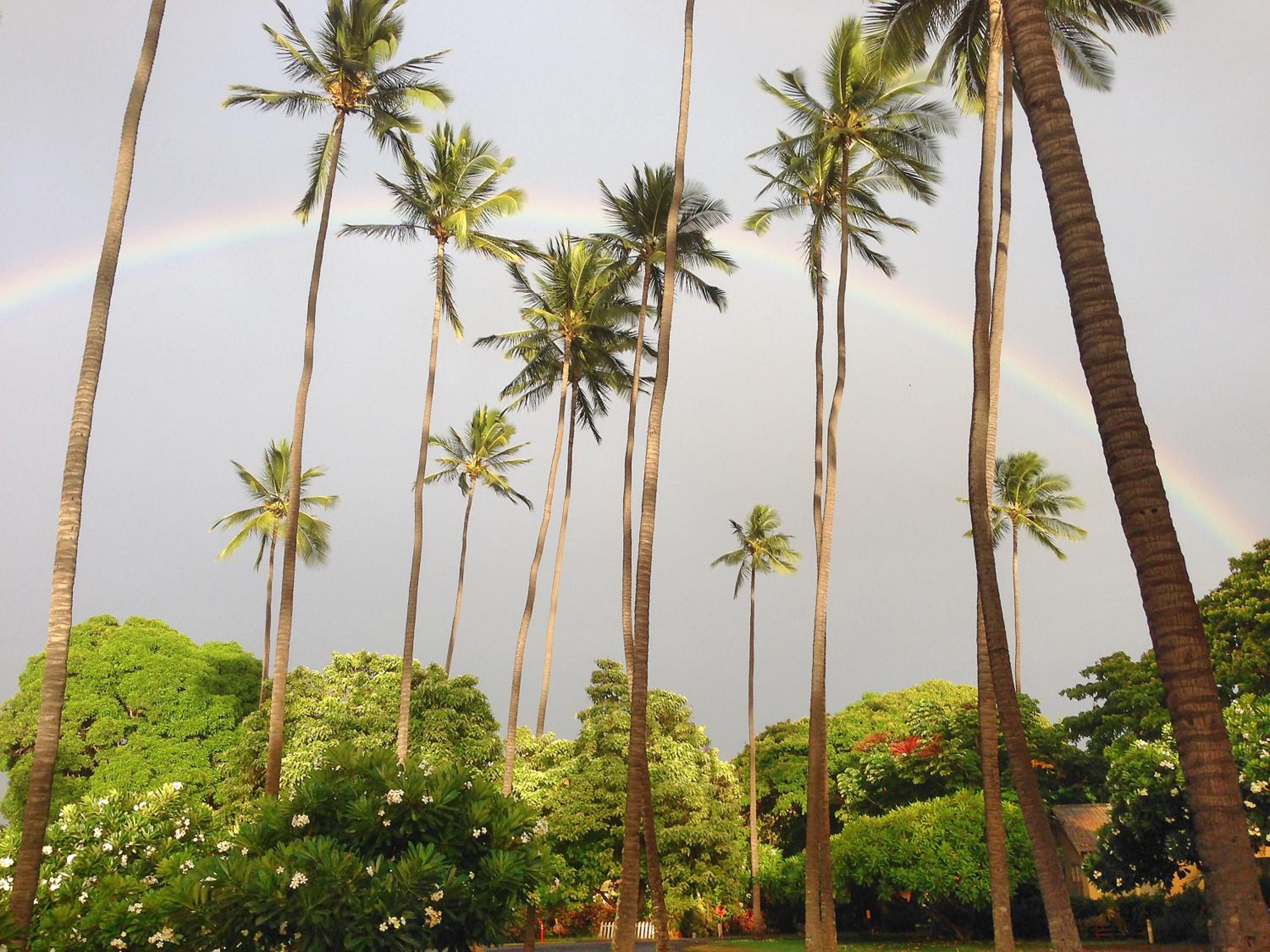 Kauai Vacations - Waimea Plantation Cottages, a Coast Resort - Property Image 4