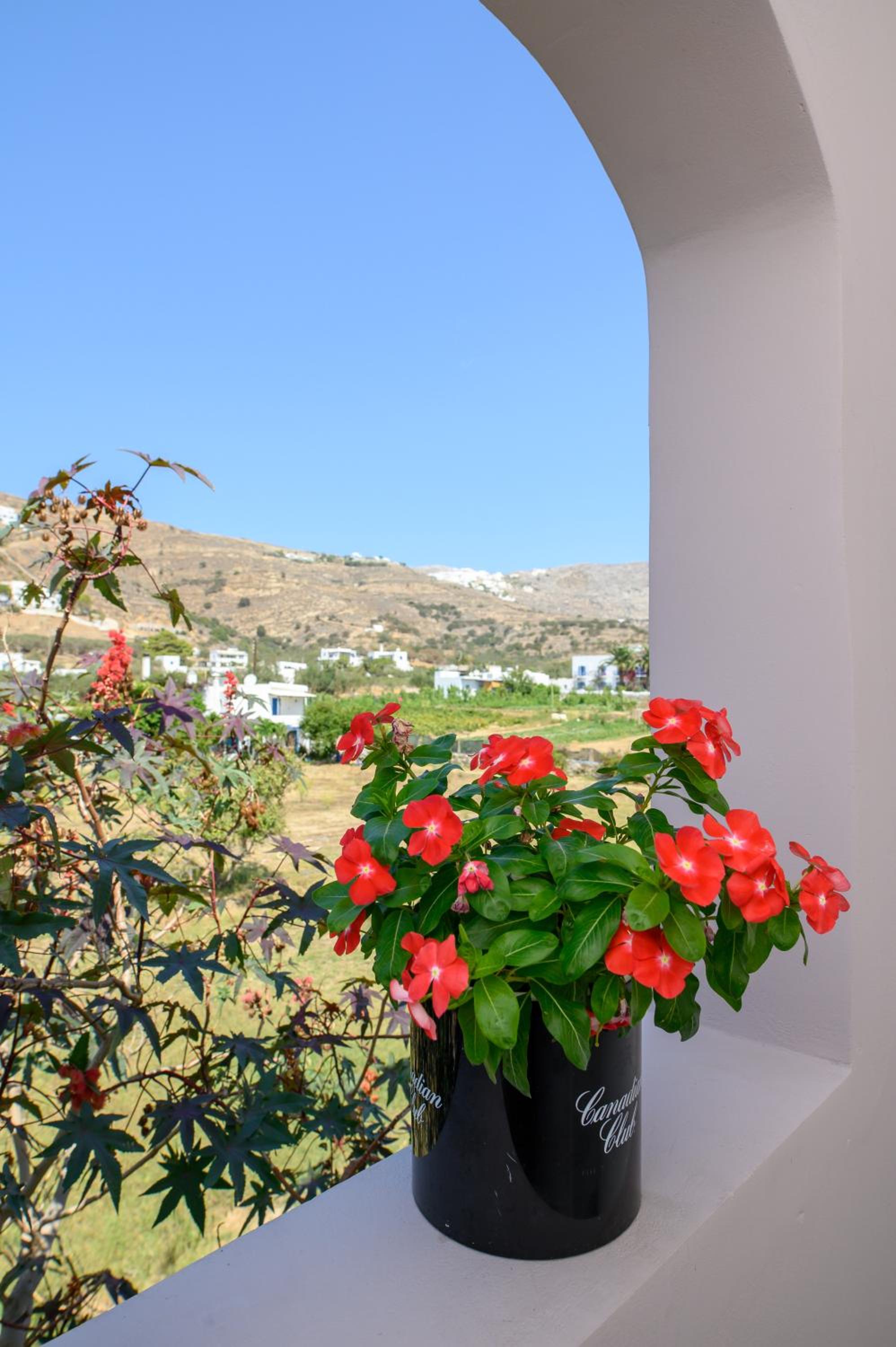 Lakki Village 156