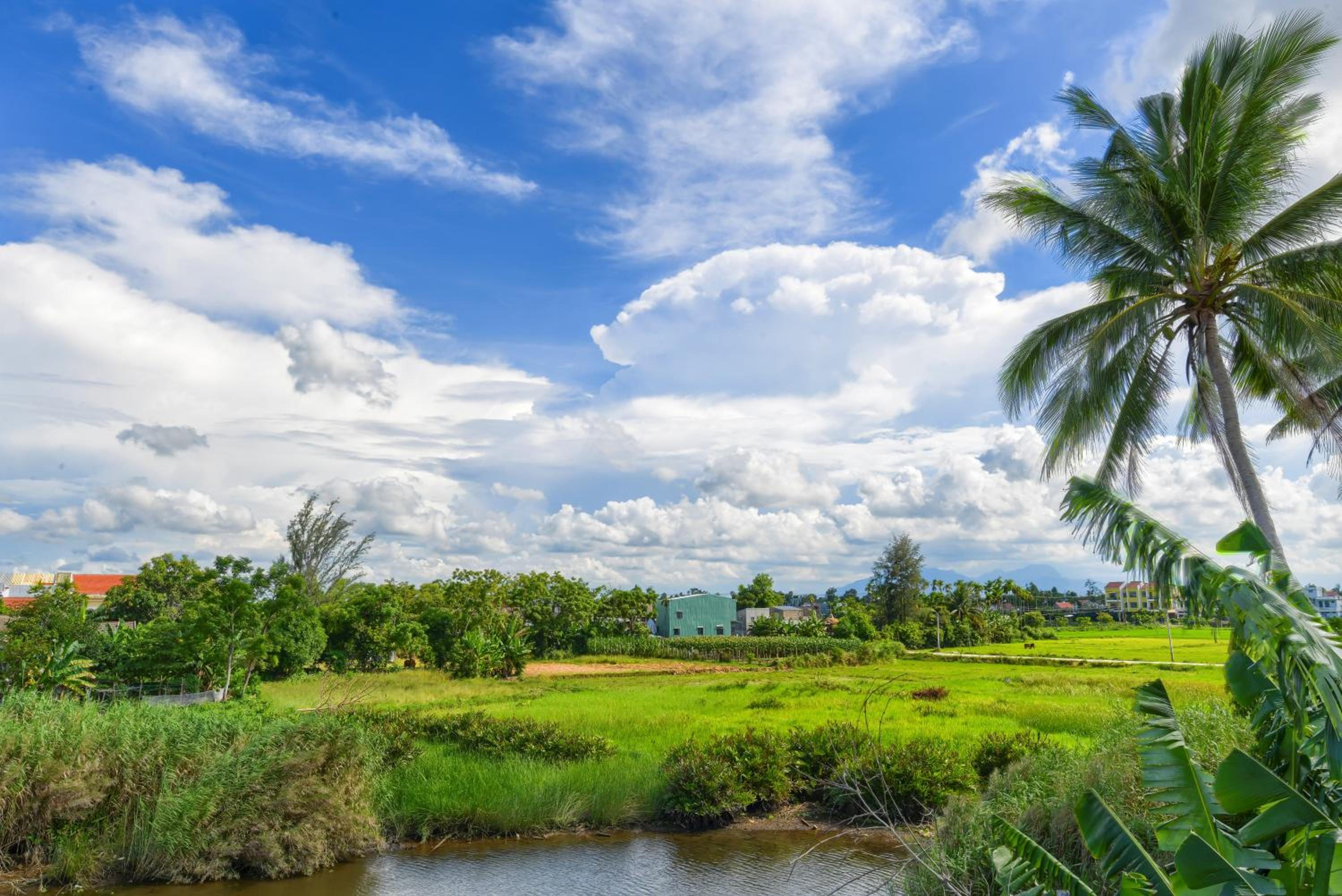 Gió Chiều Homestay - Riverside & Swimming pool view 3