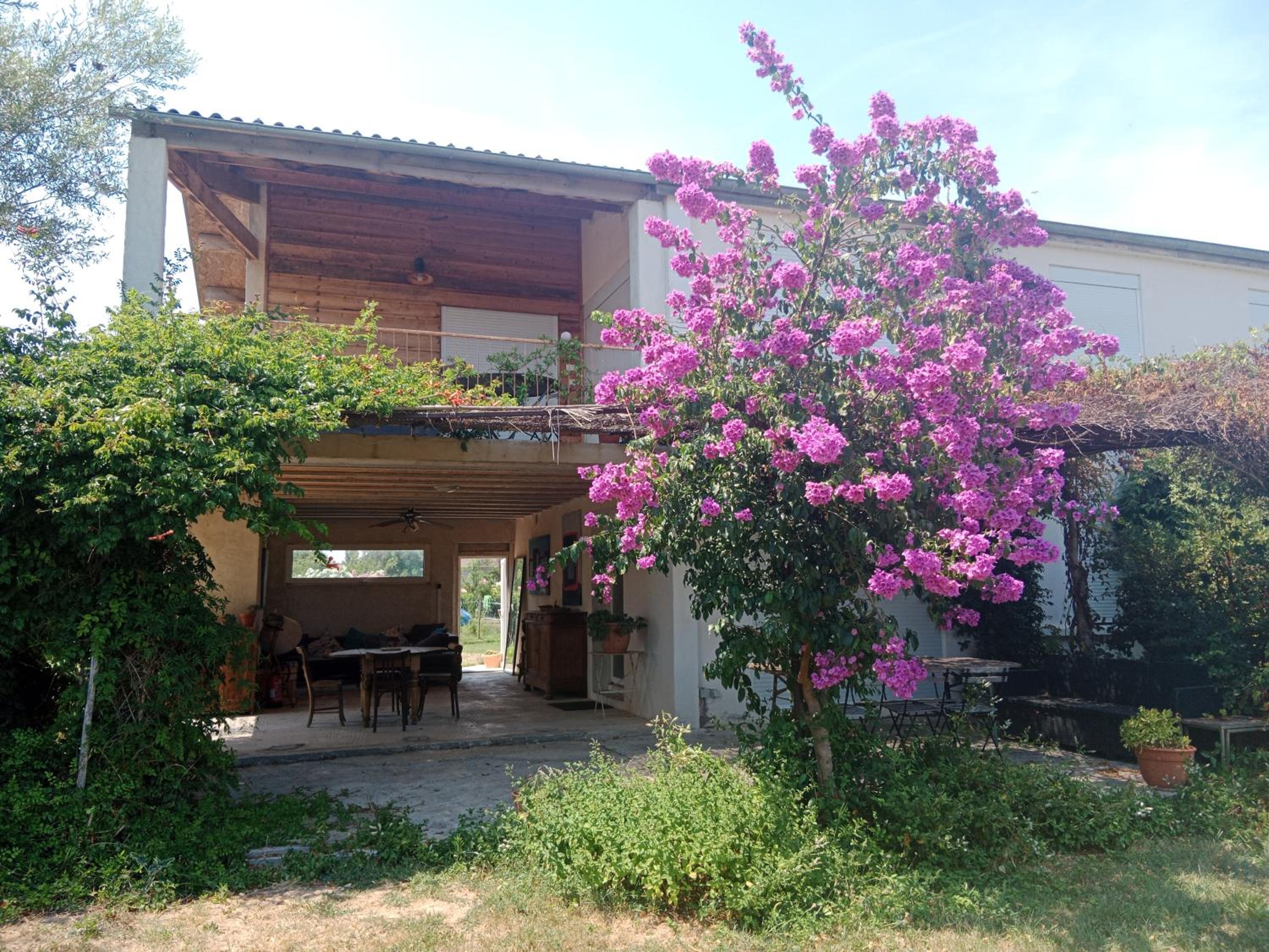 Domaine Limouzy view 2