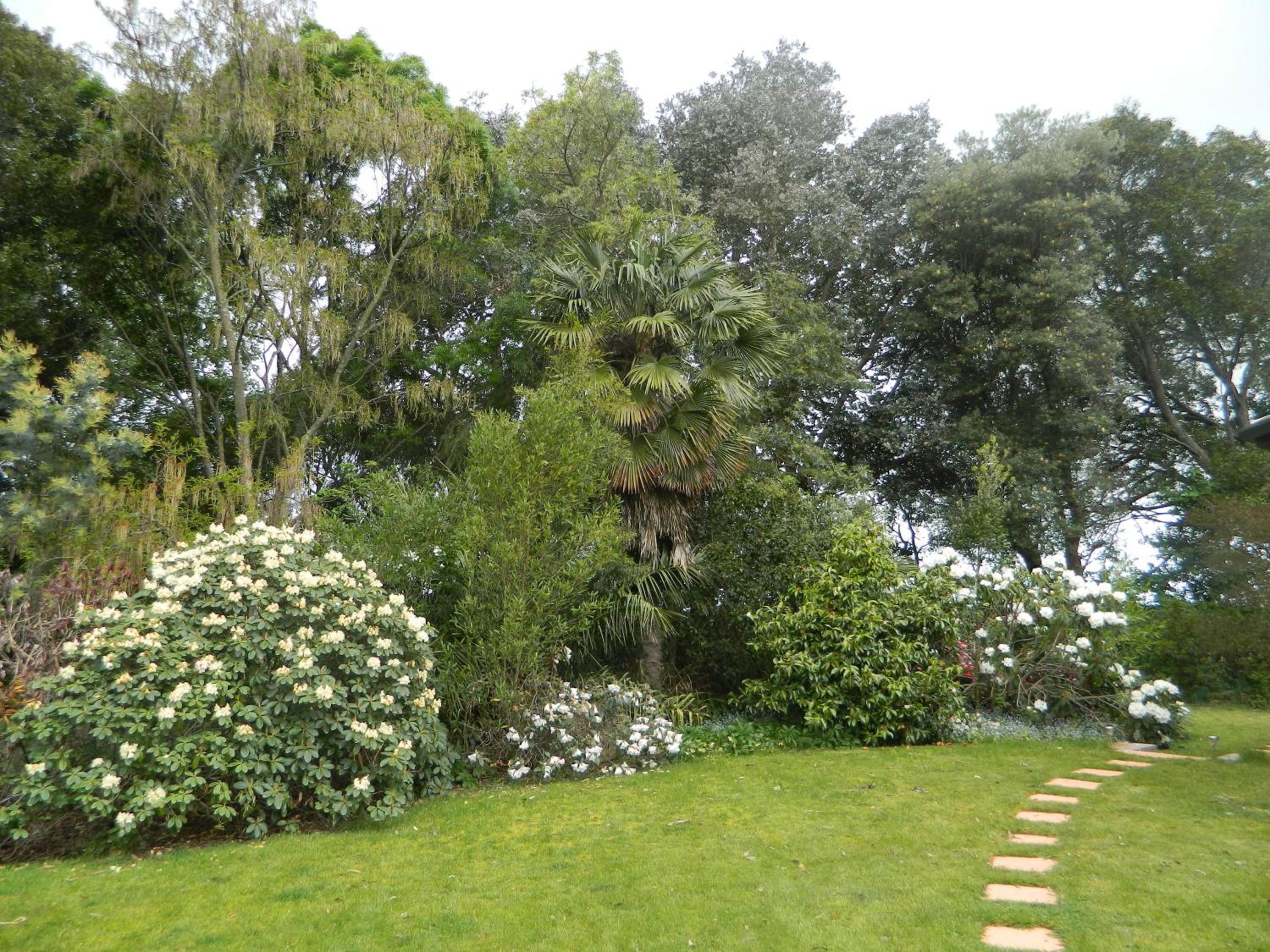 Antares Homestay