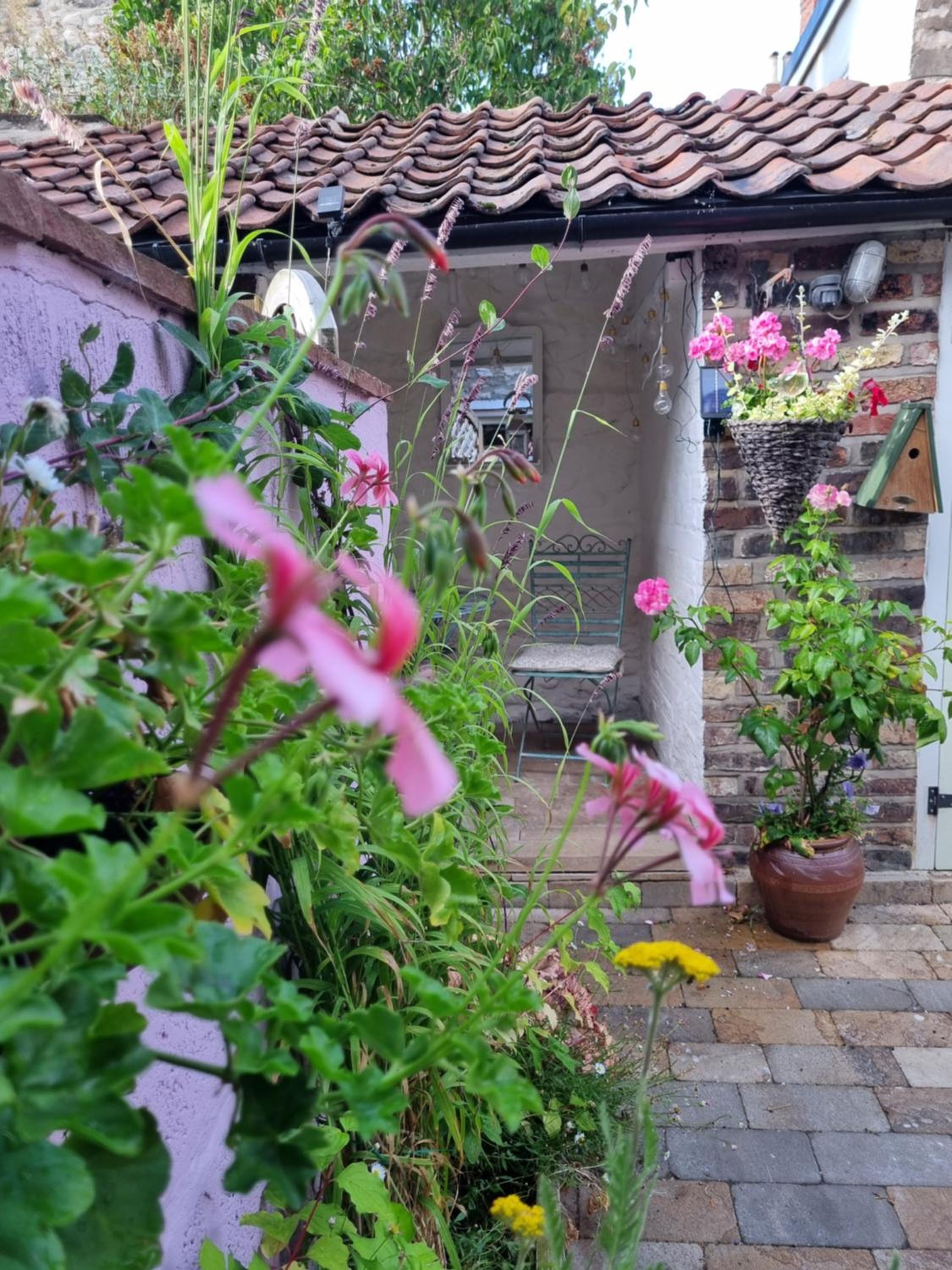 Bluebird Cottage