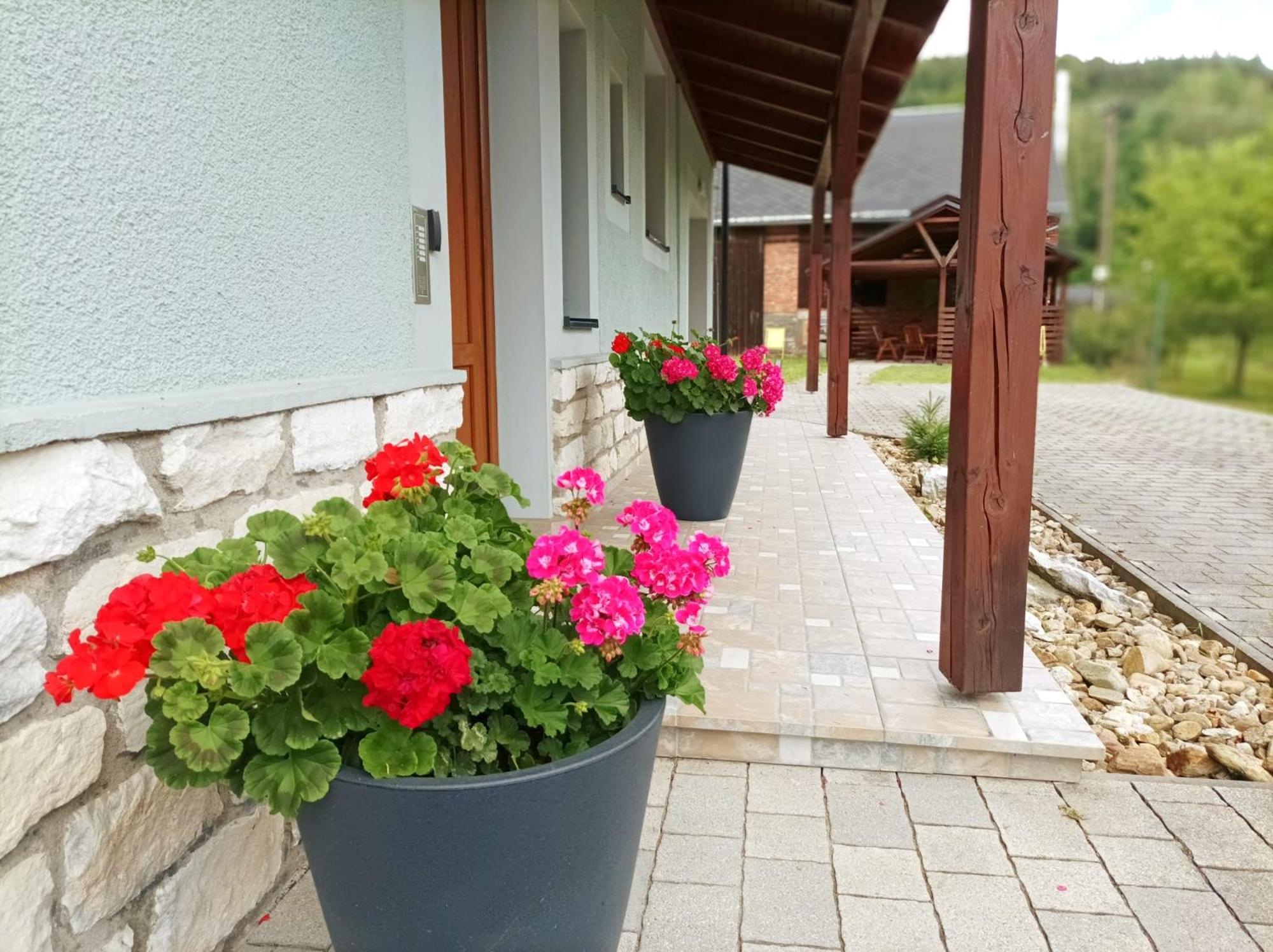 Apartmánový dům Michael