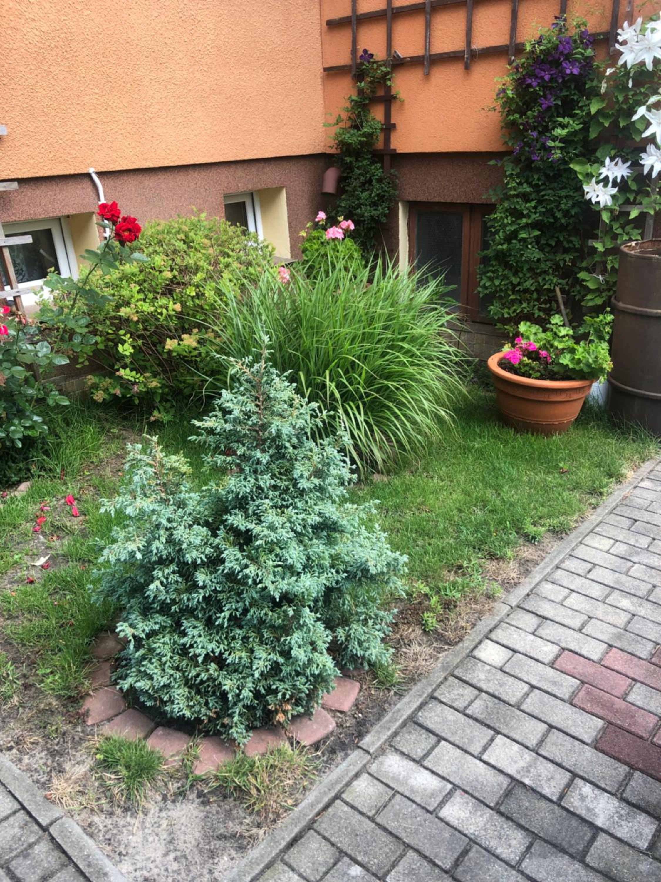Photo 31