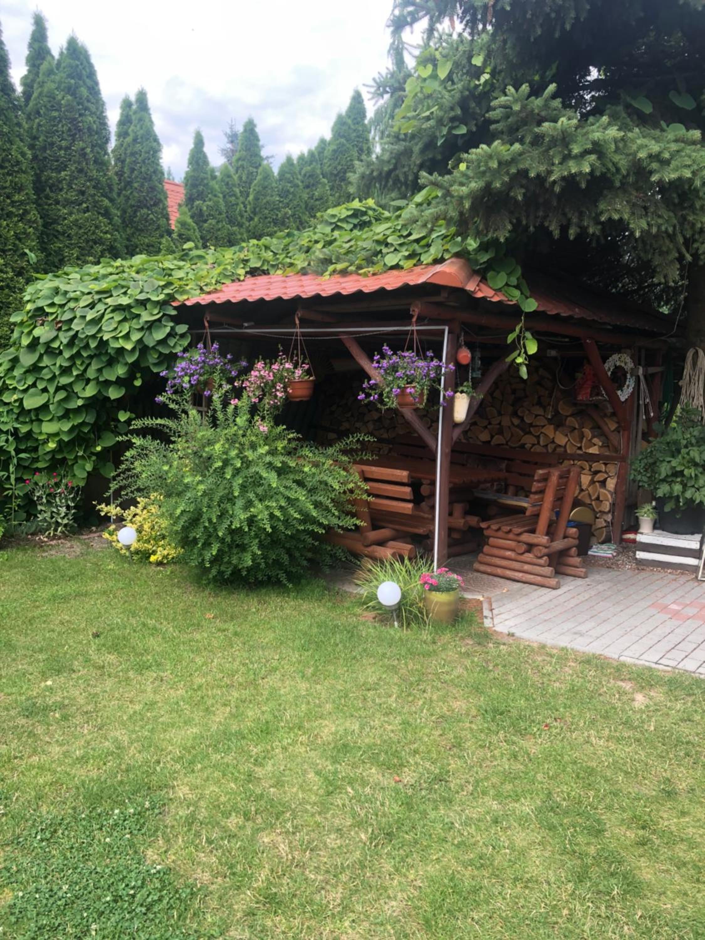 Photo 29
