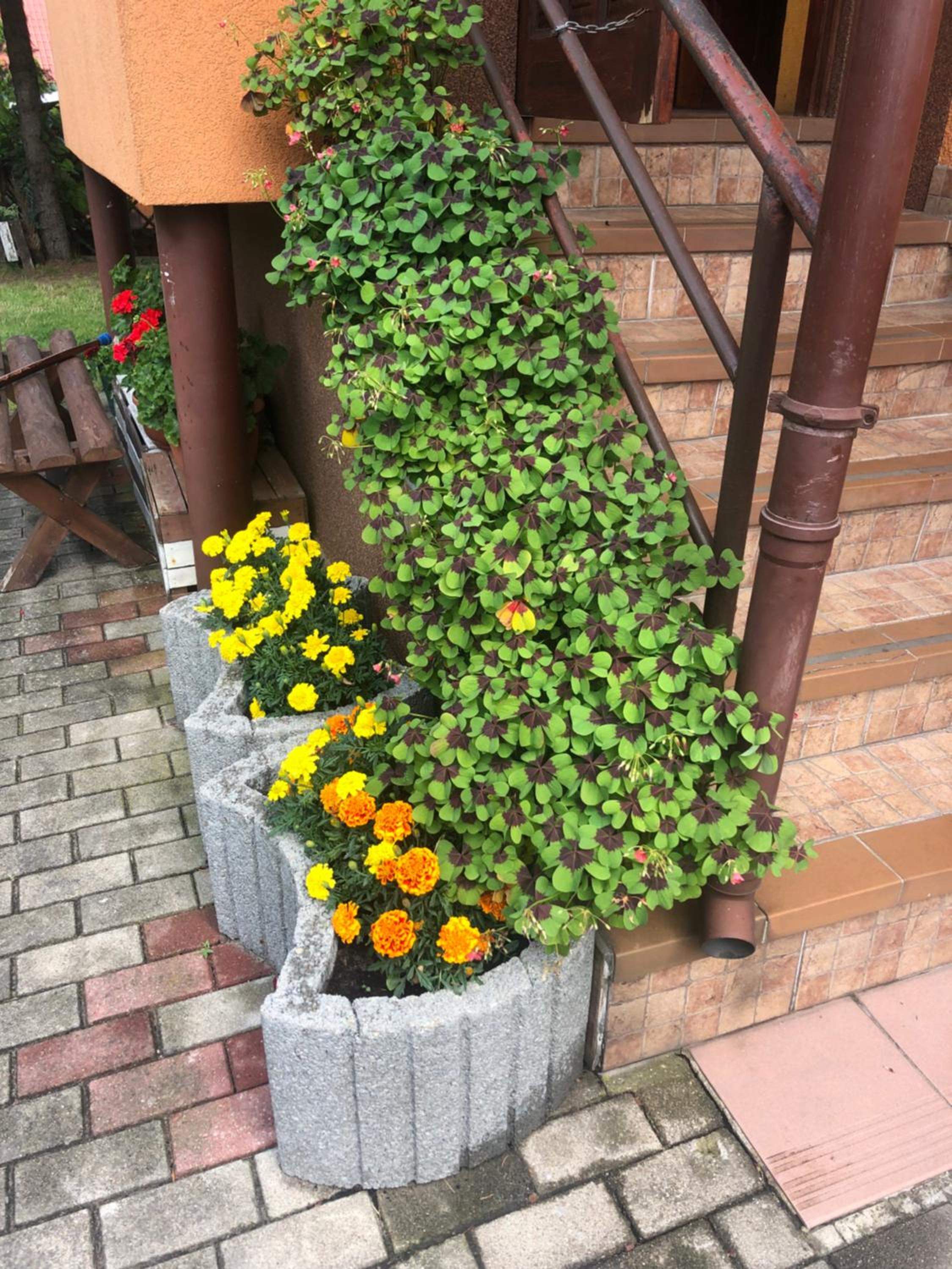 Photo 28
