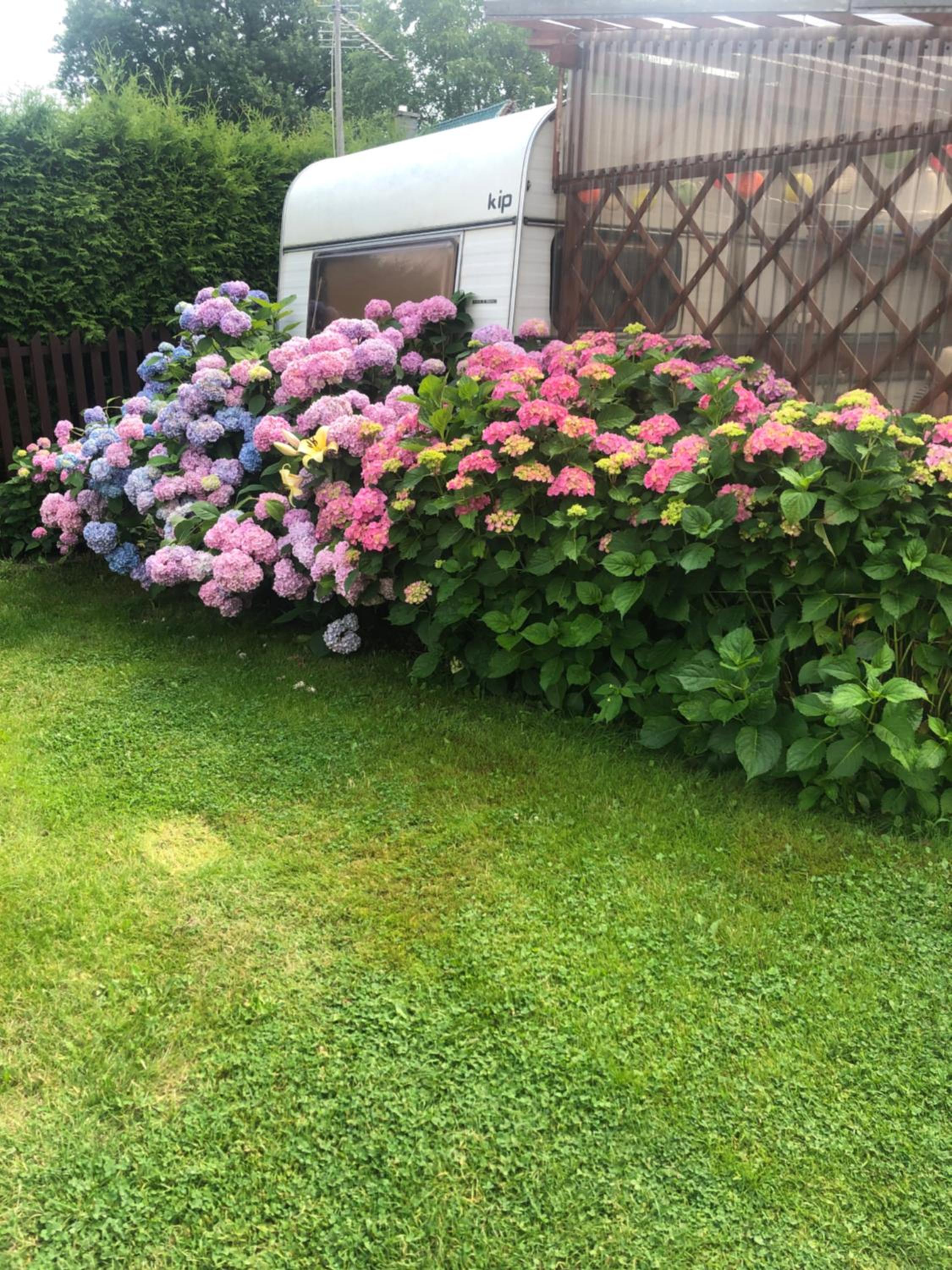 Photo 27