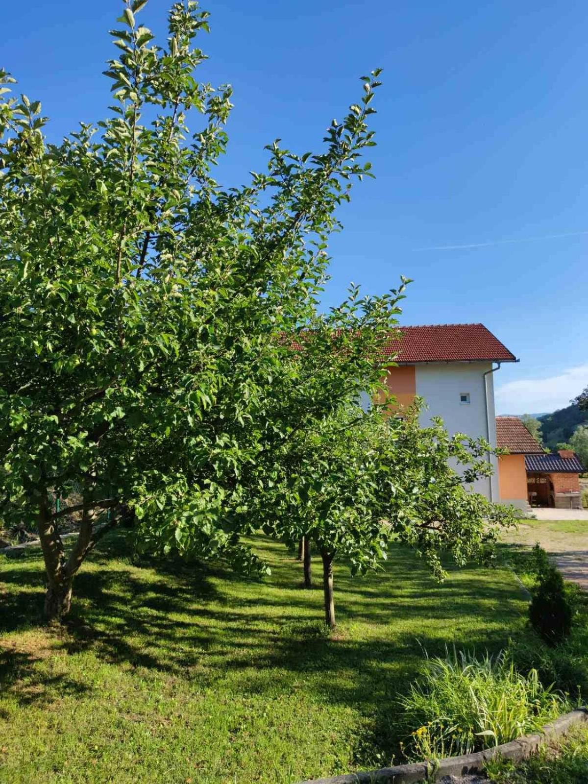 Photo 40