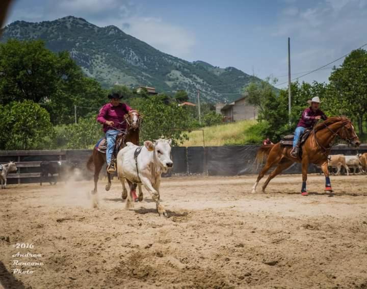 BELMONTE RANCH