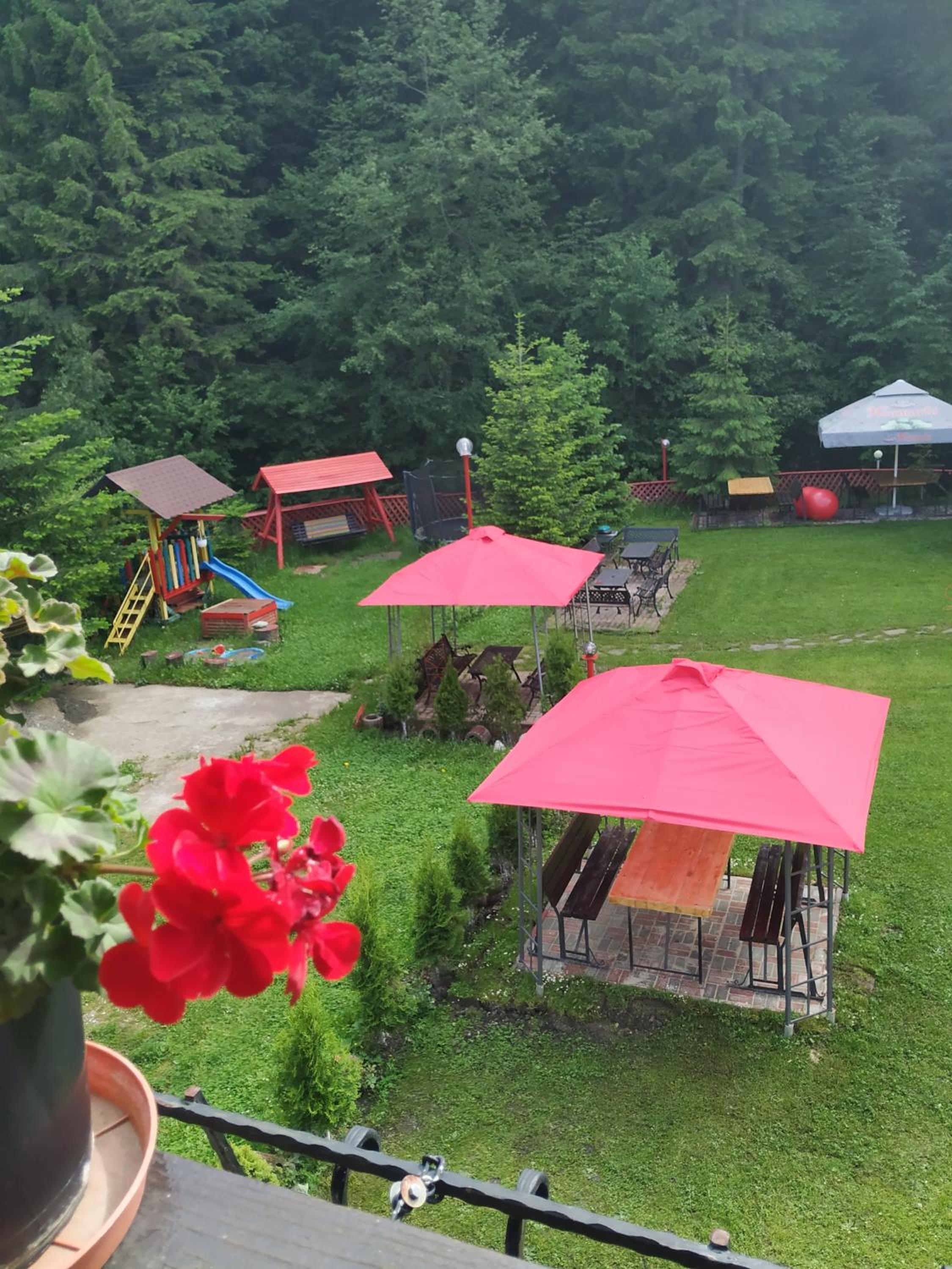 Pensiunea La Turcu view 5