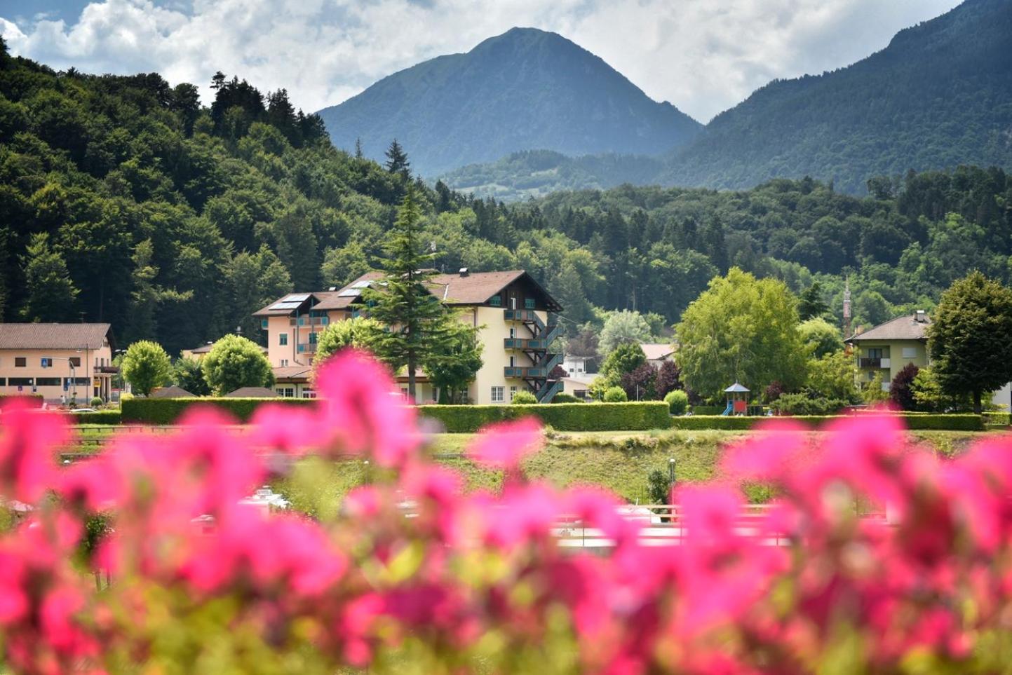 Residenza Scoiattolo