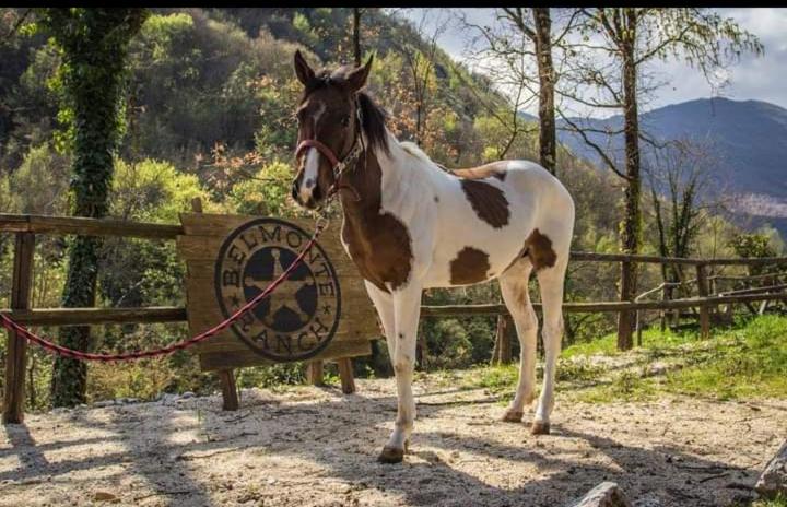 BELMONTE RANCH