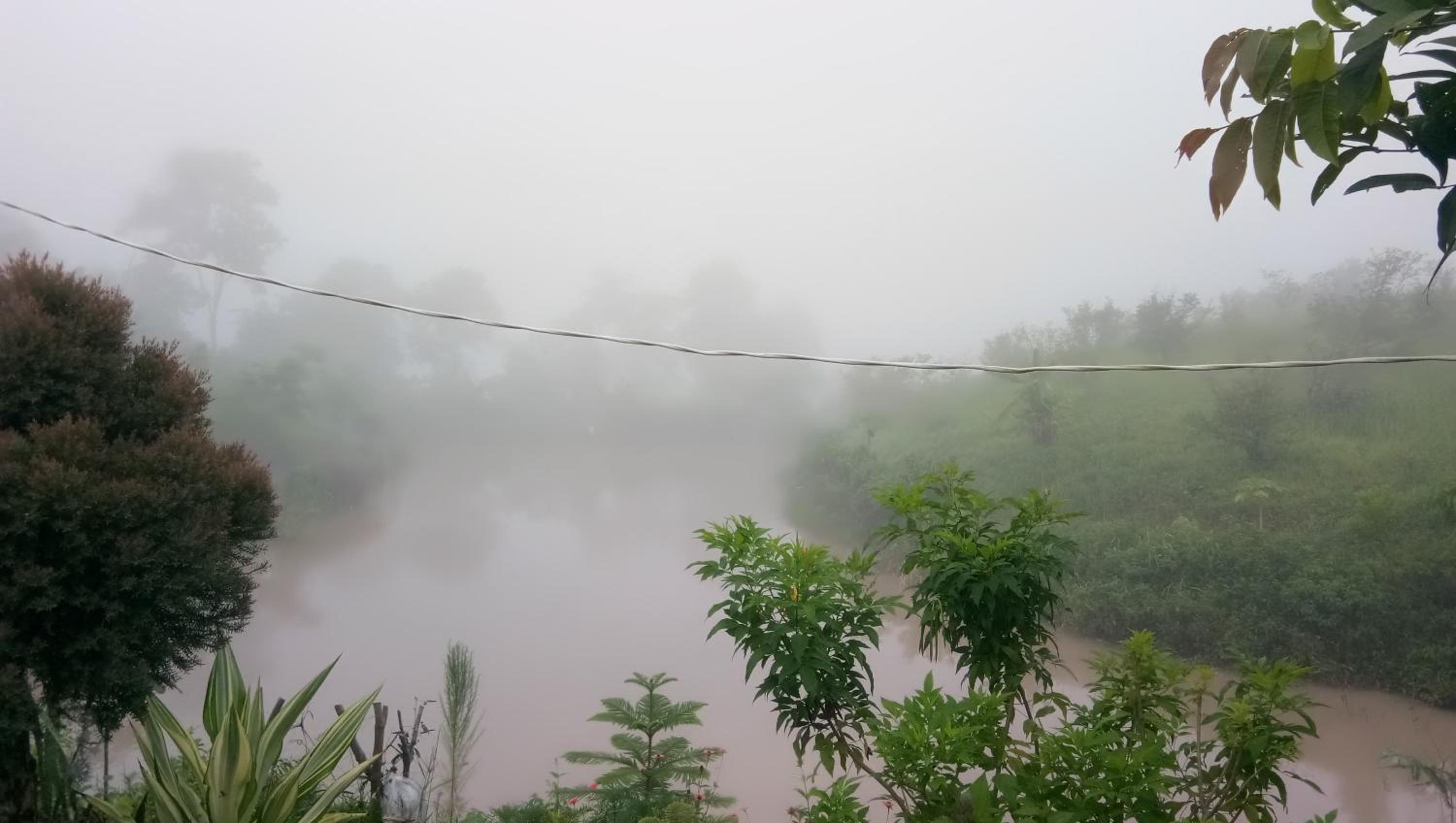 ภูร่องลม ฟาร์ม view 4
