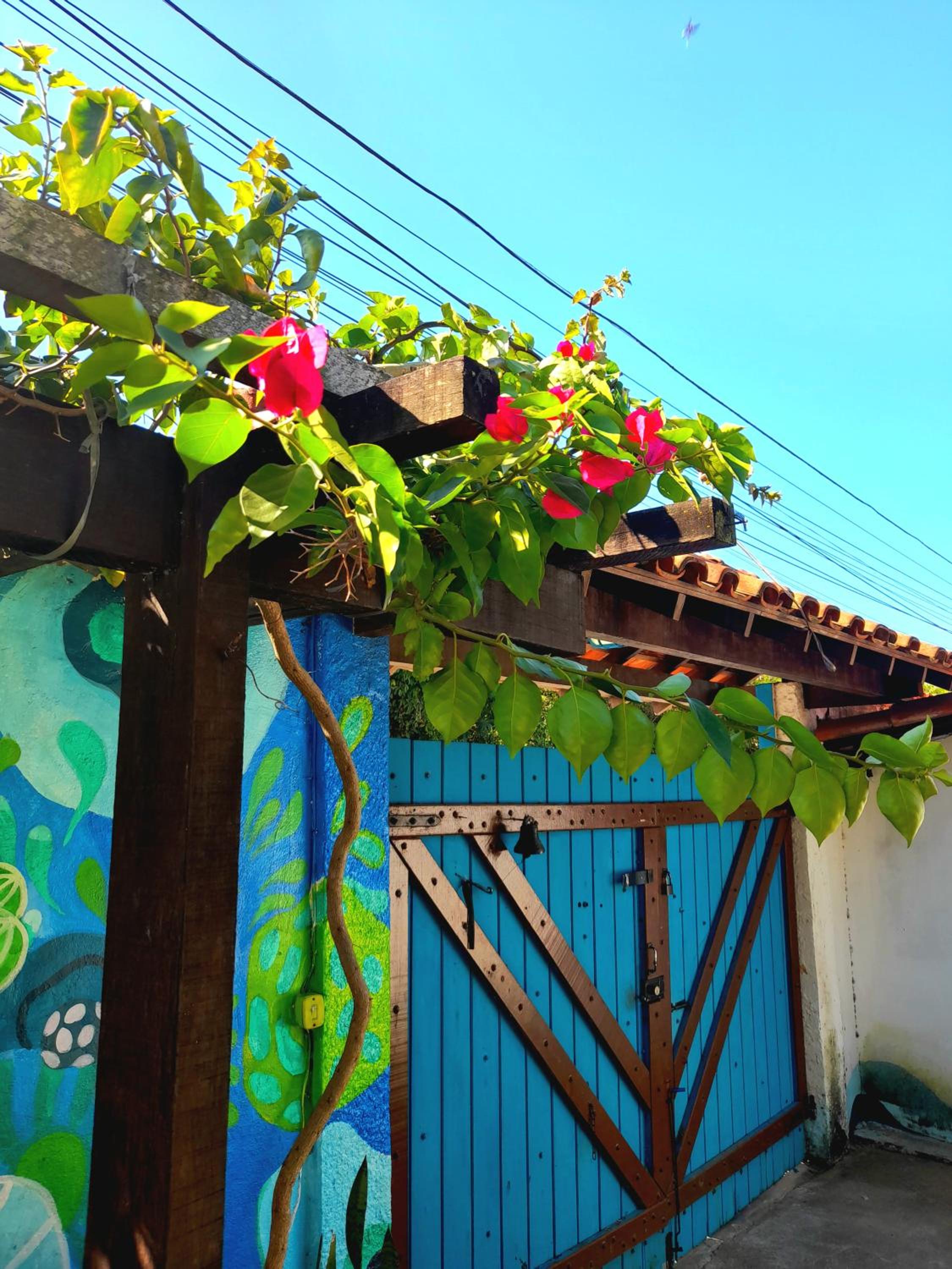 De Boa na Lagoa Cabo Frio, Praias Peró, Conchas e Ilha do Japonês