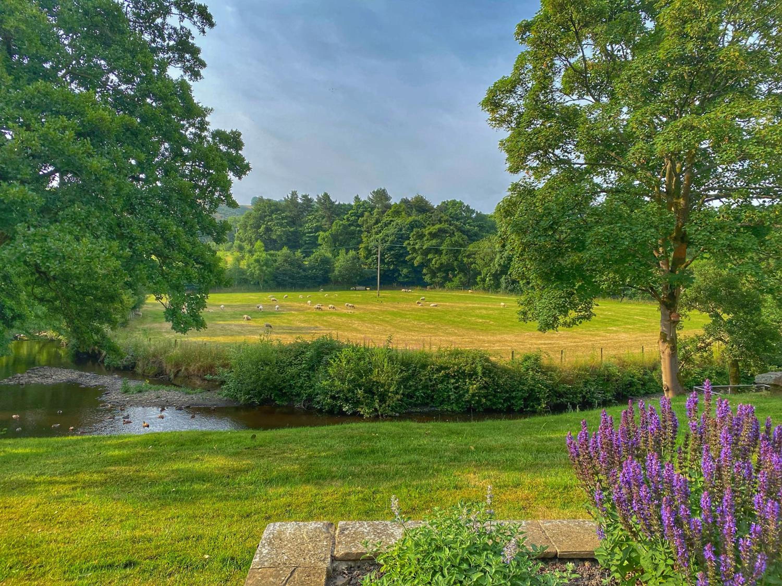 Millbrook
