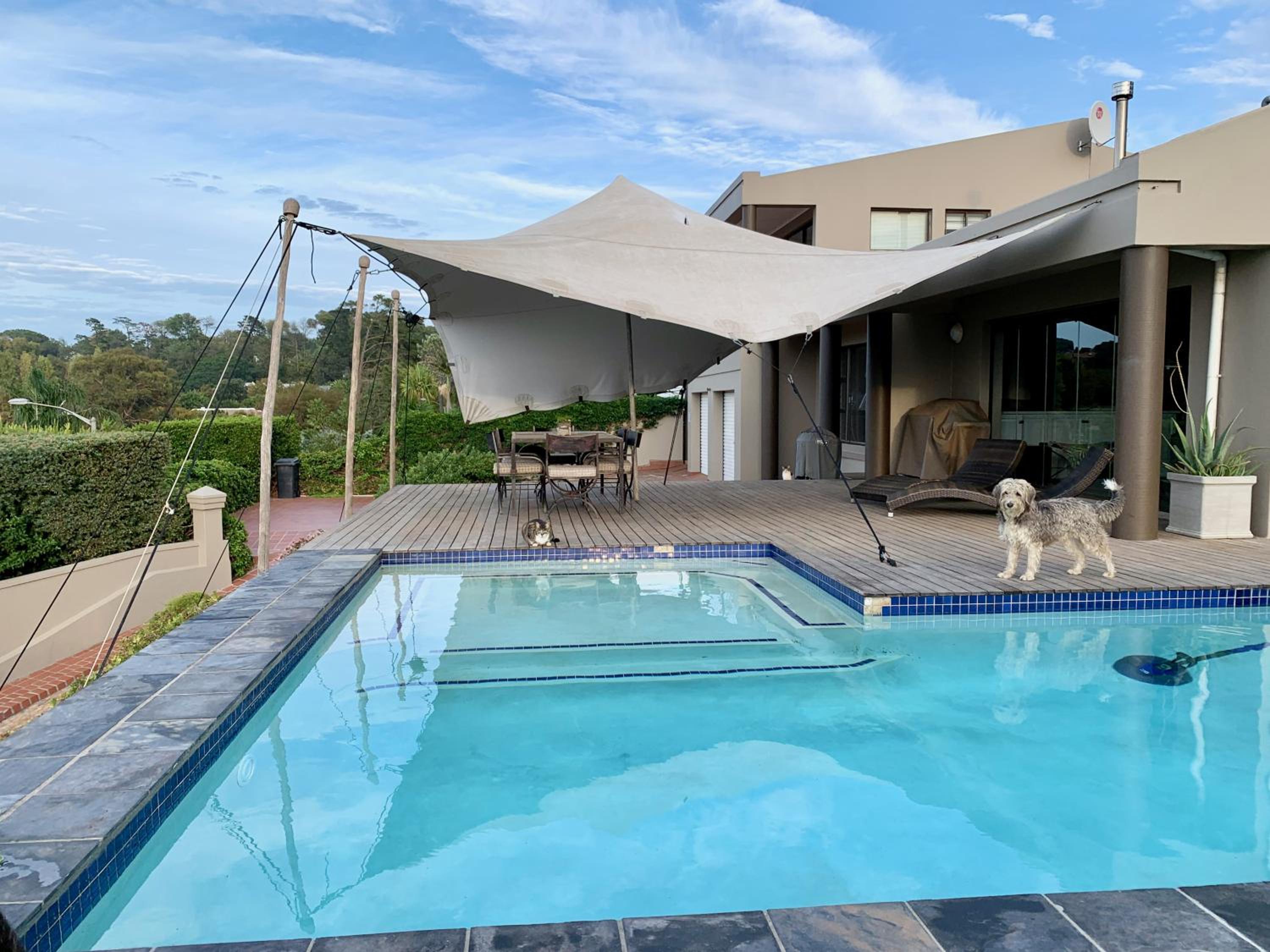 Dream Views
