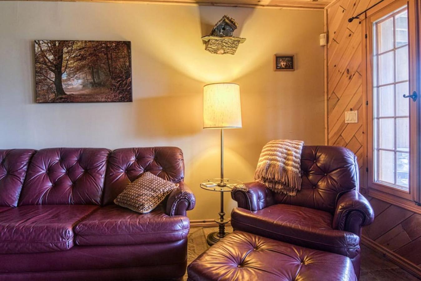 Pine Ridge, Log Home with Lake View and Backyard