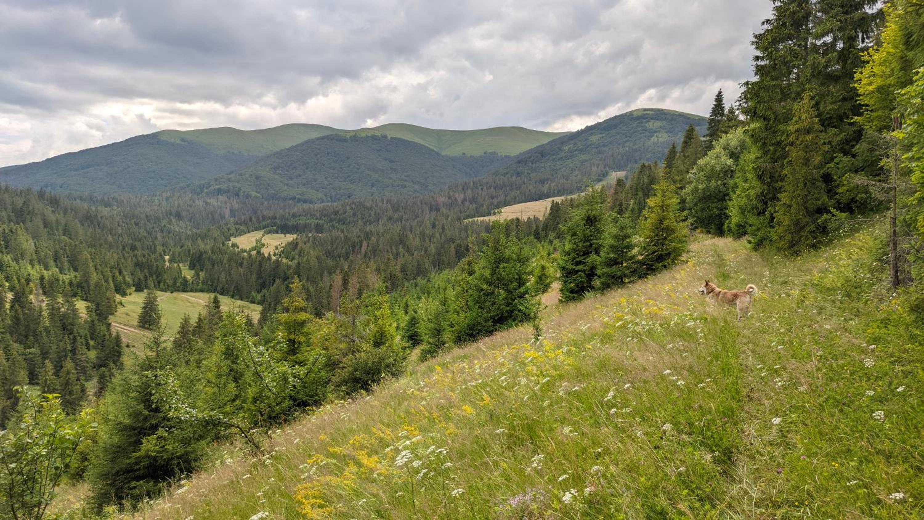Zatishok Bilya Richky view 3