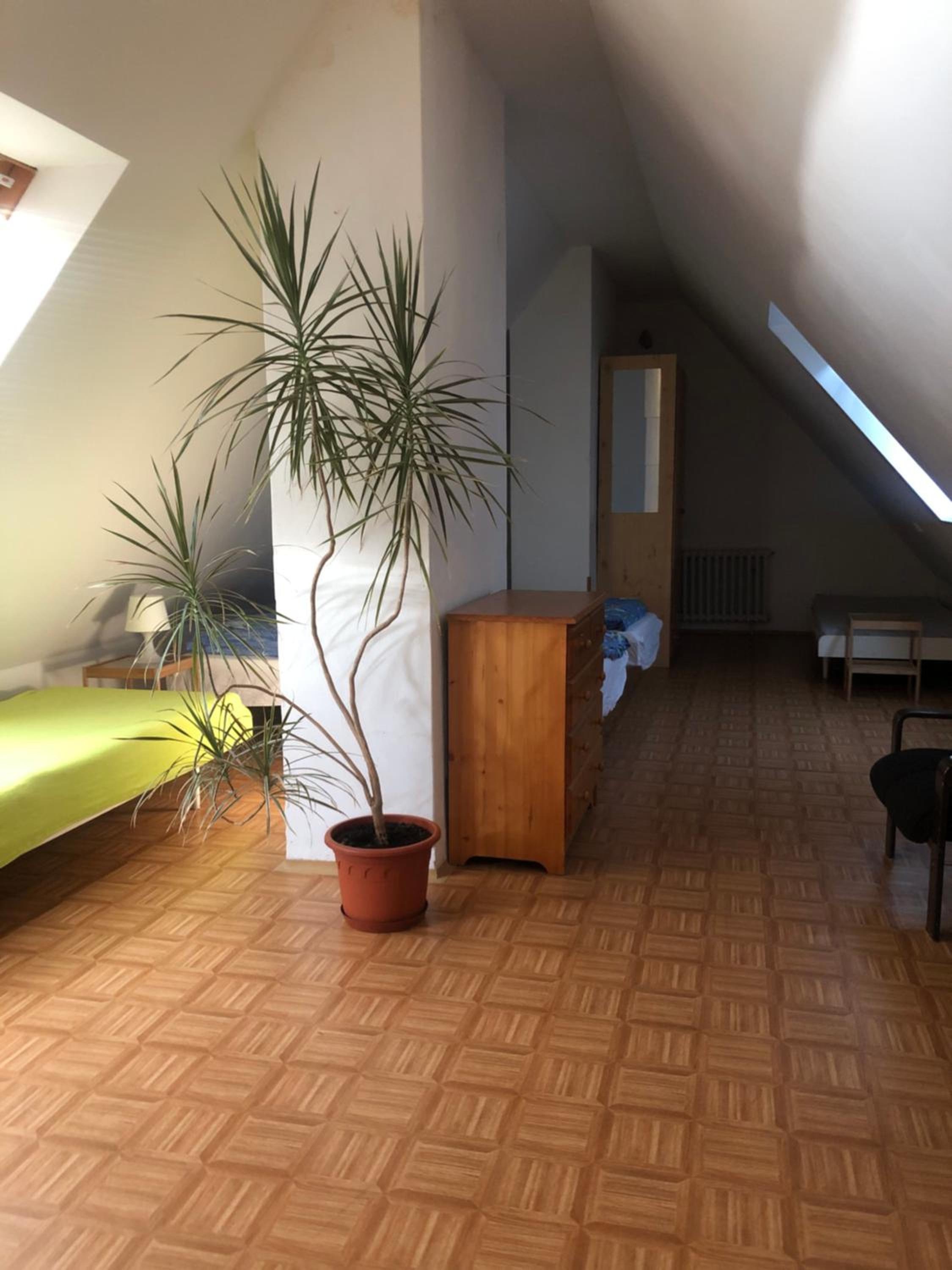 Apartment Lužné view 5
