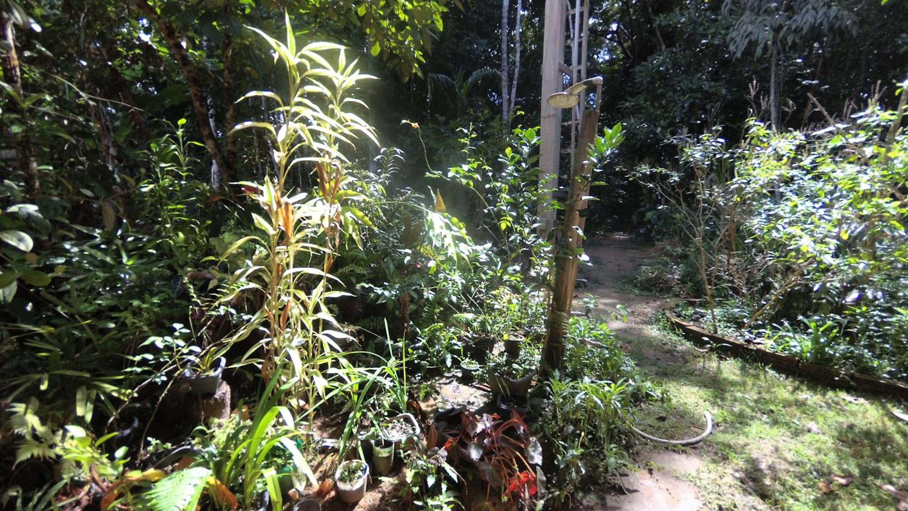 Canto Loredana