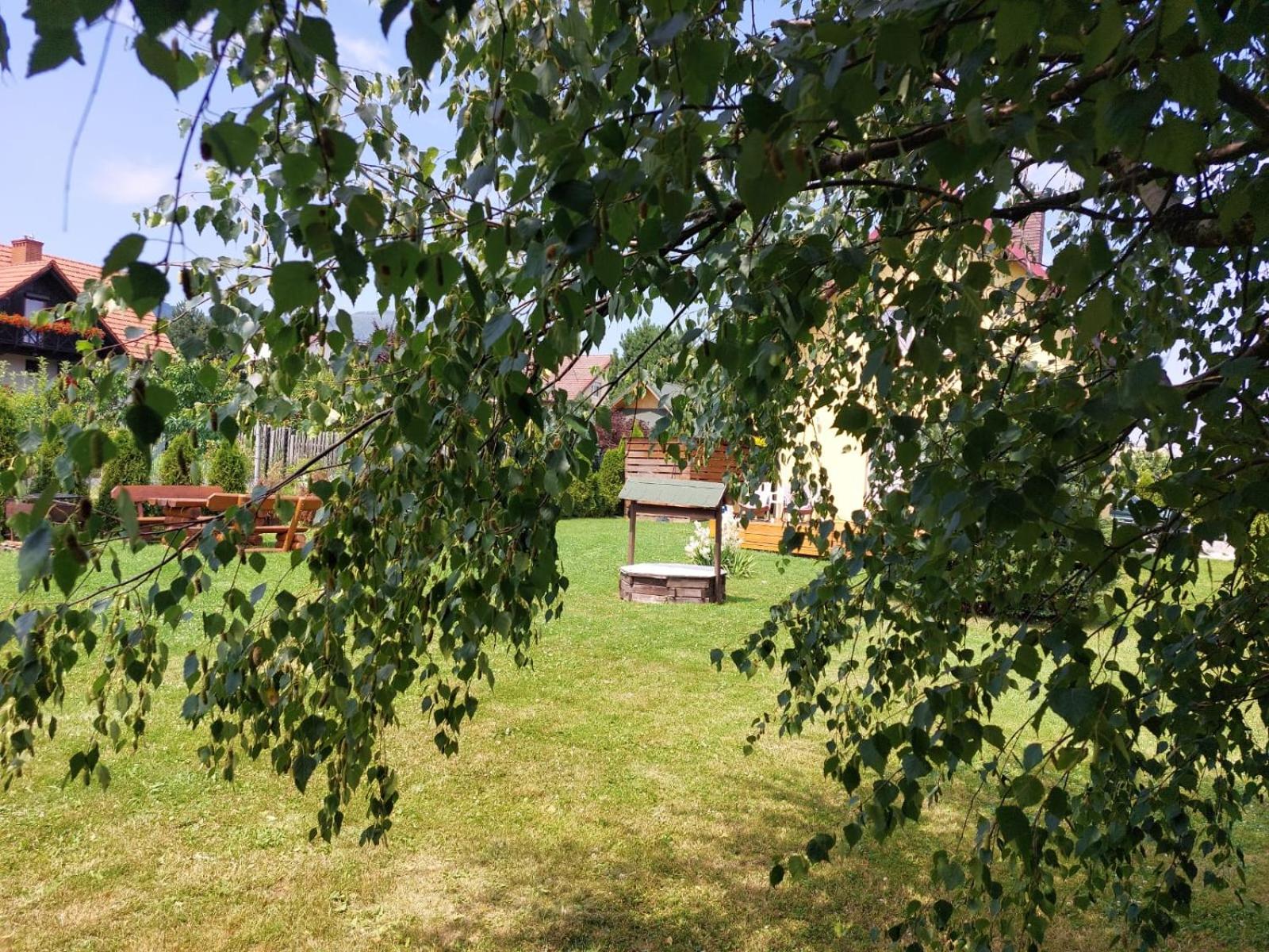 Photo 30
