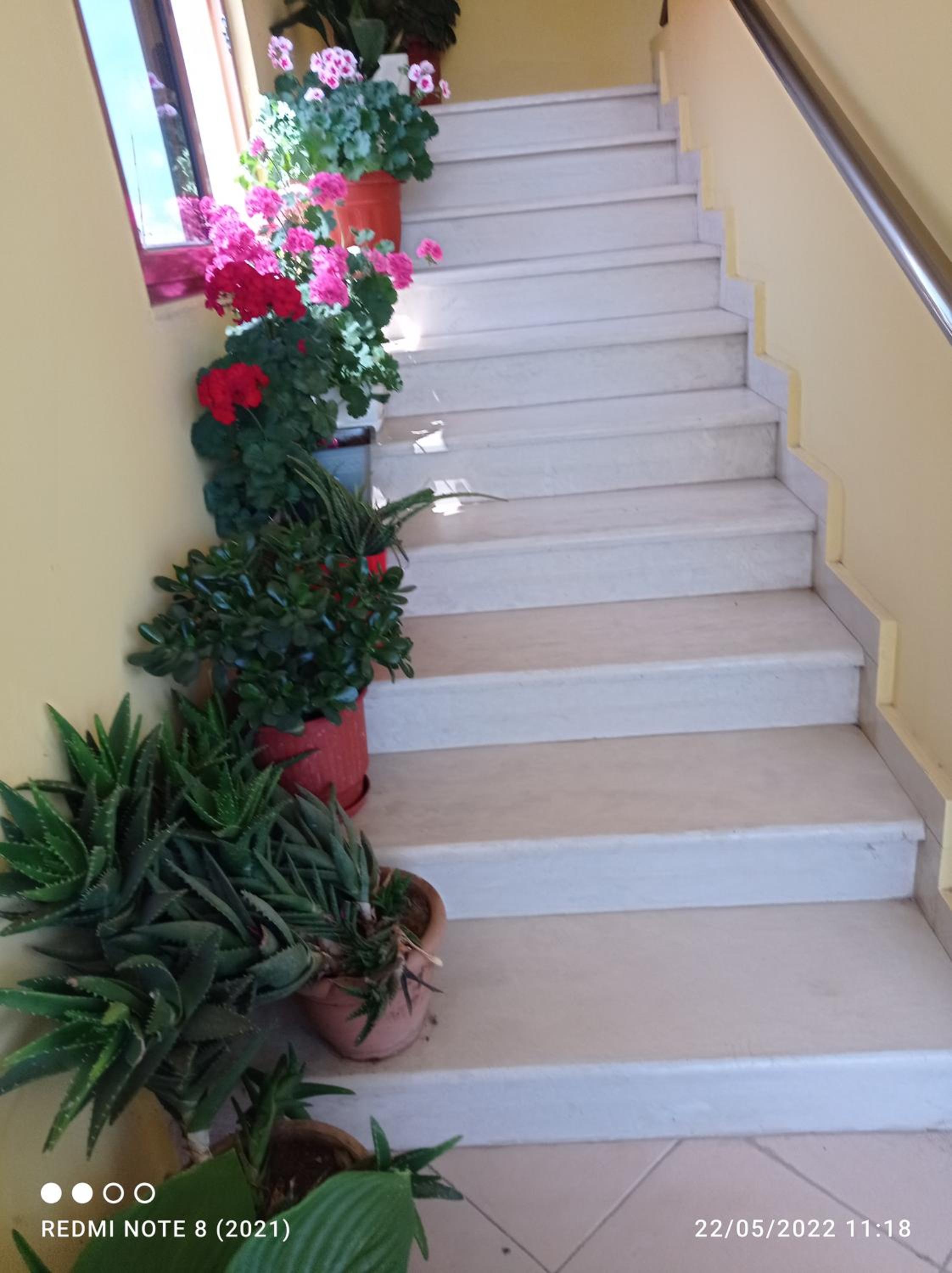 Guesthouse Fatos Biti photo 4