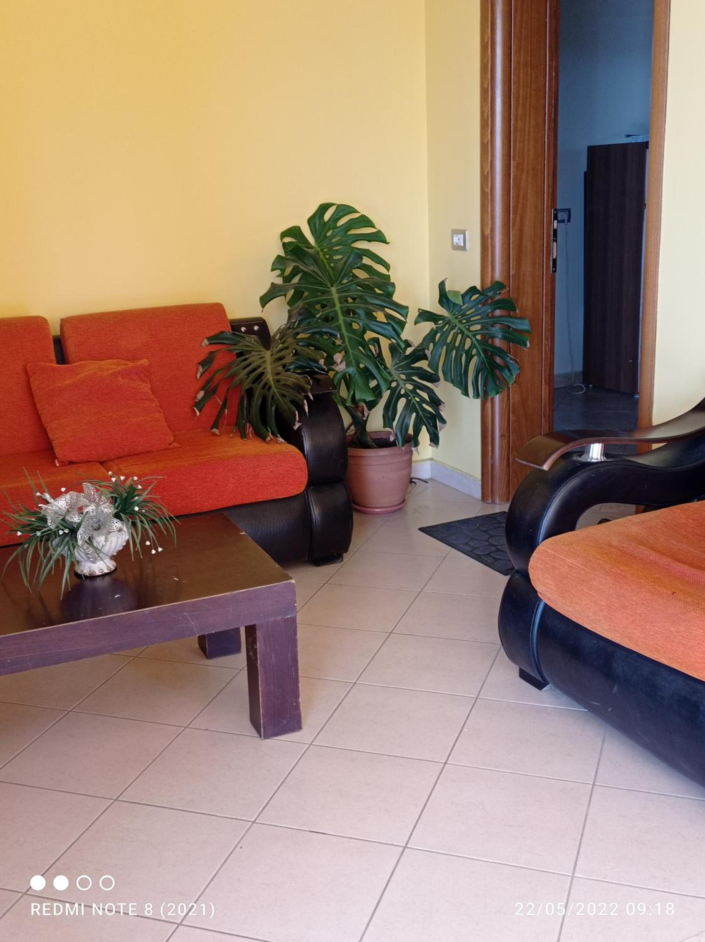 Guesthouse Fatos Biti photo 3