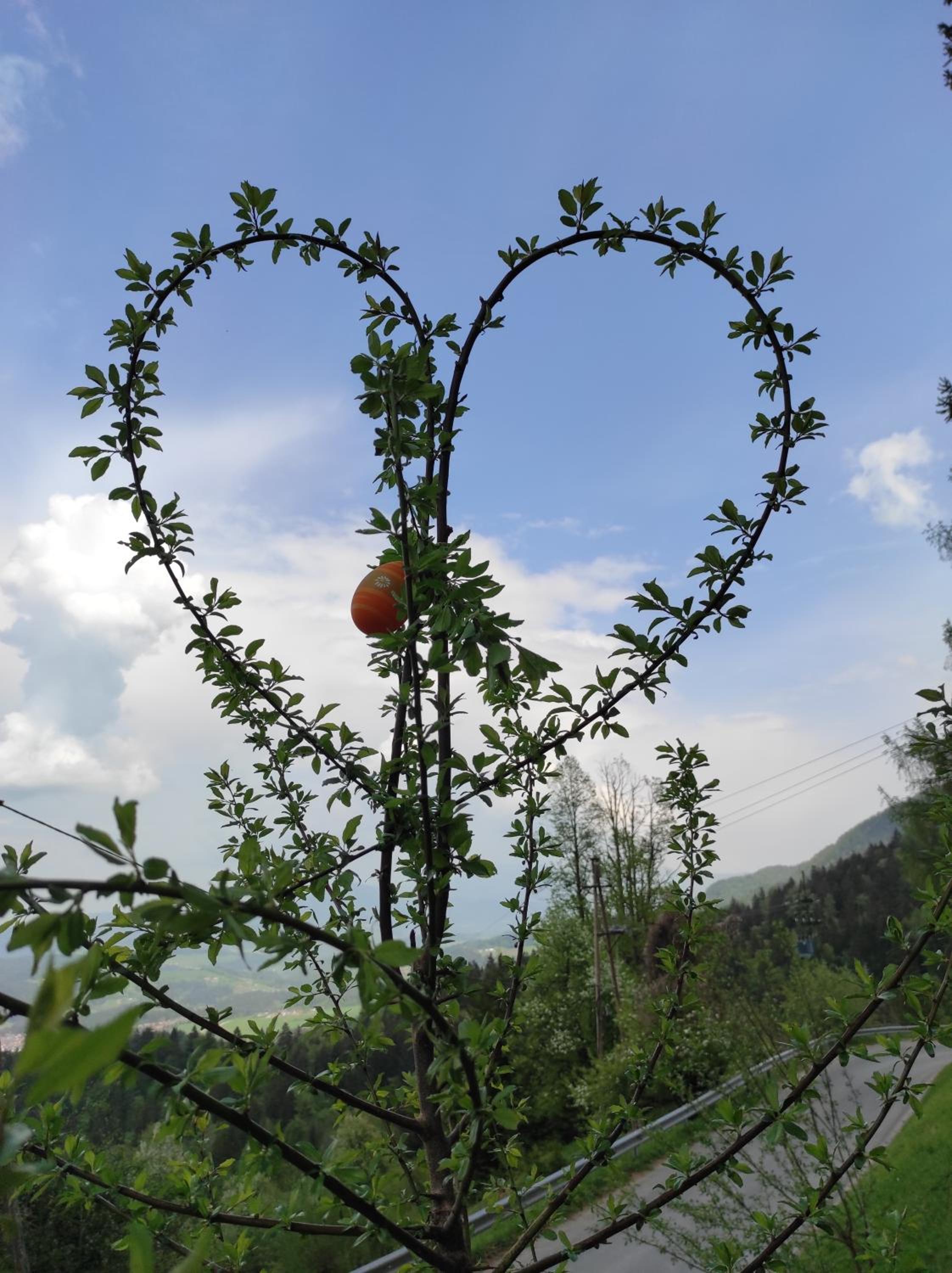 Smučarska koča