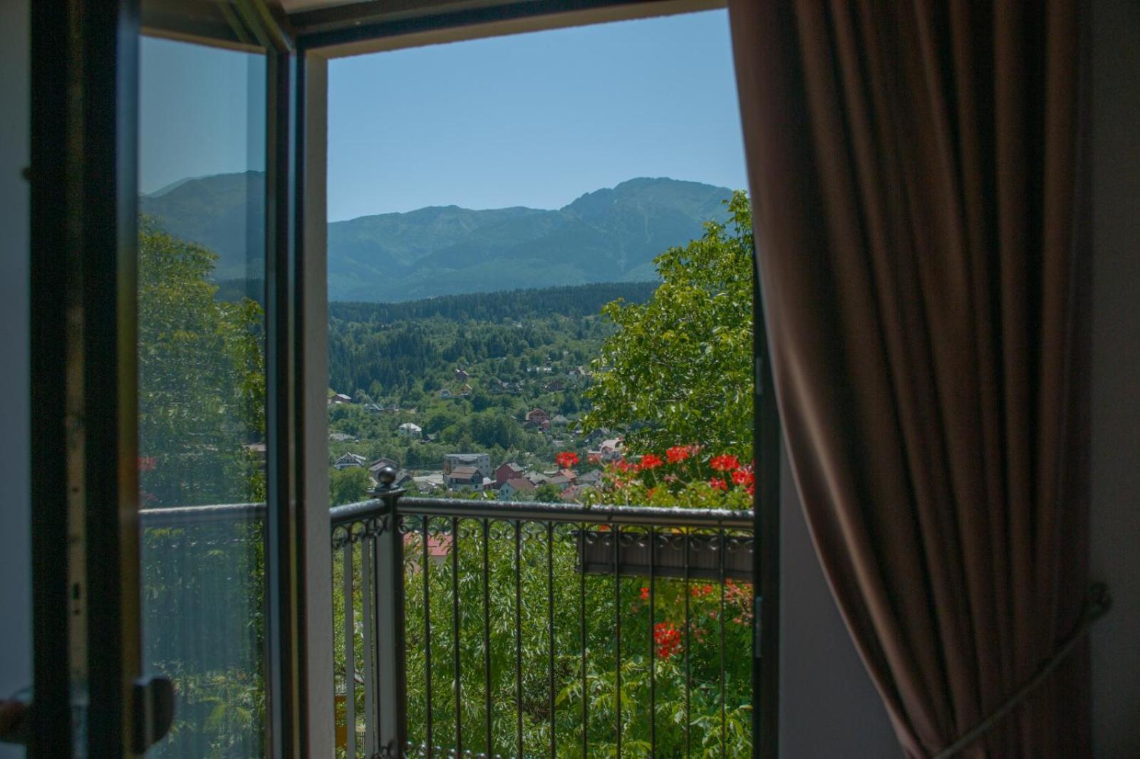 Liniștea Codrului view 4