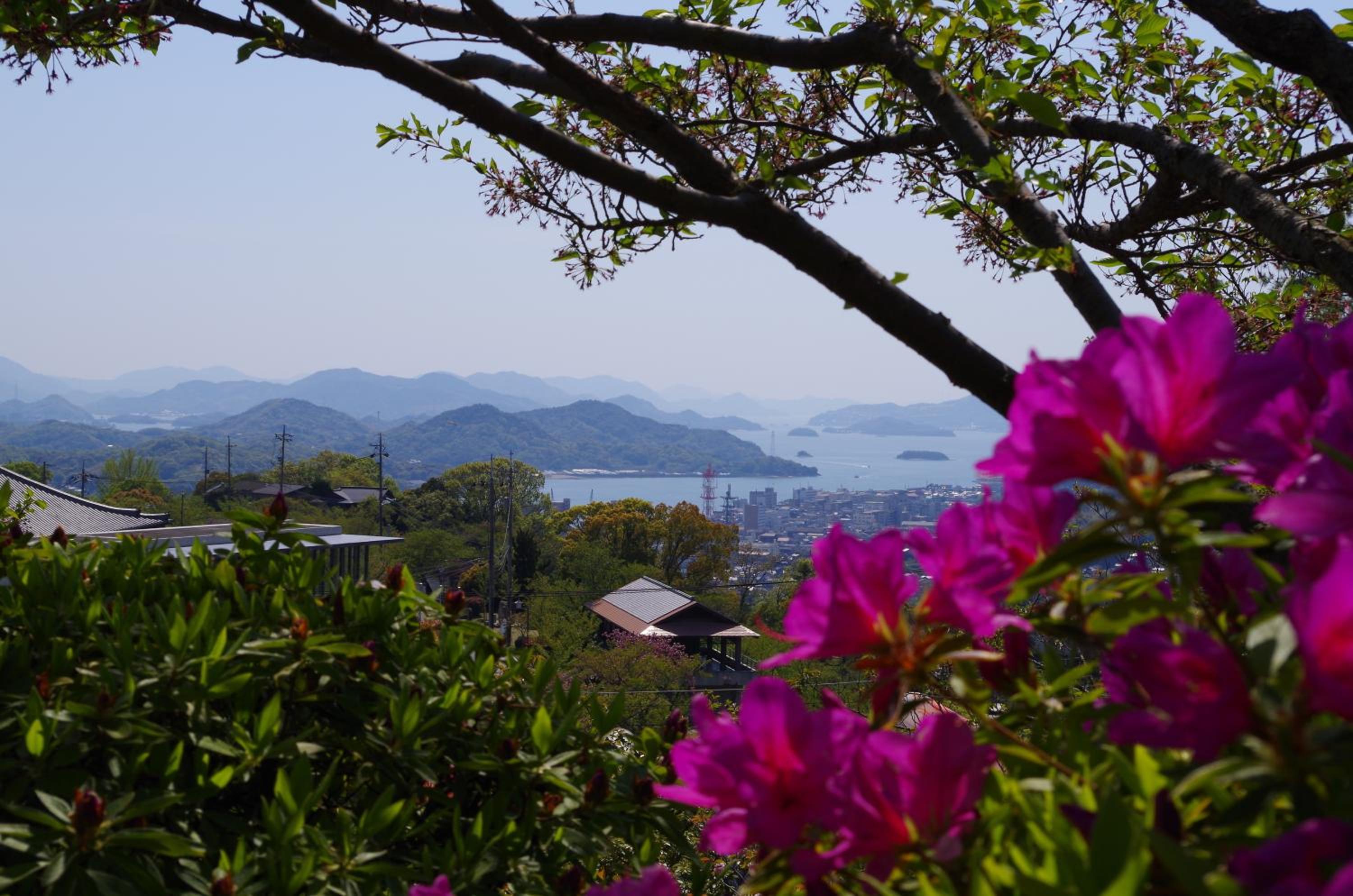 Onsen Urashima
