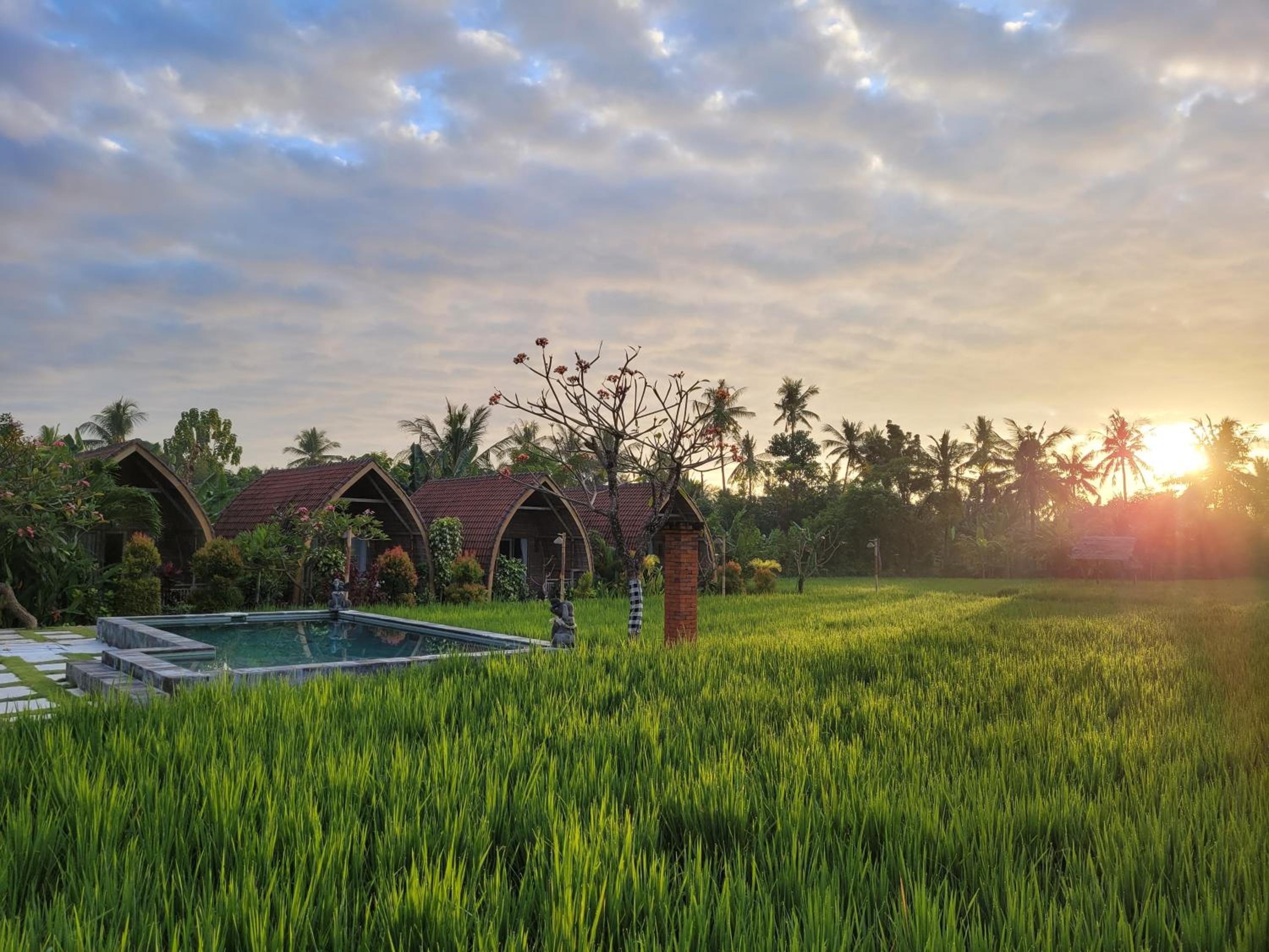 Umma Bali Menjangan Retreat view 2