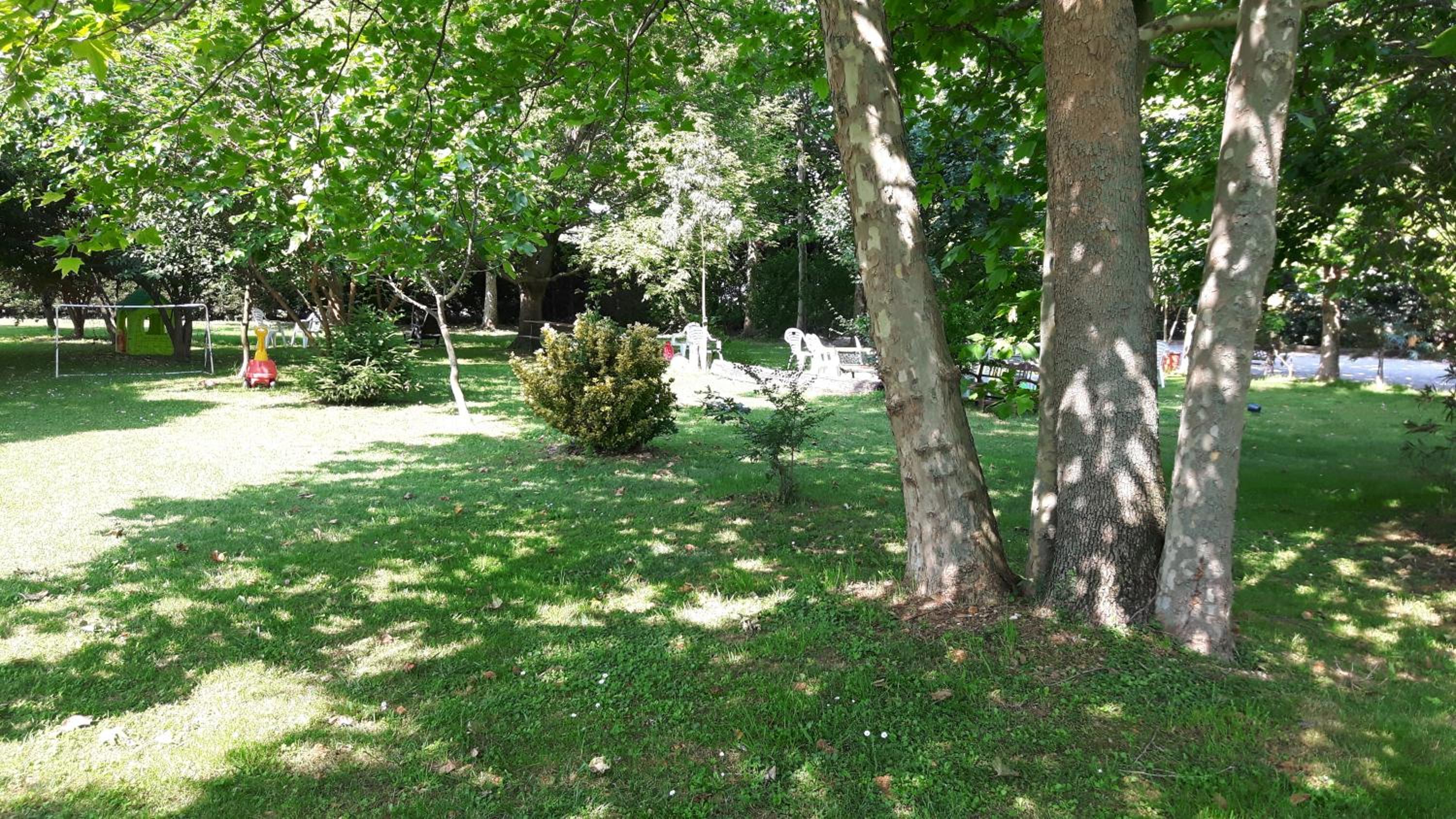 Photo 27