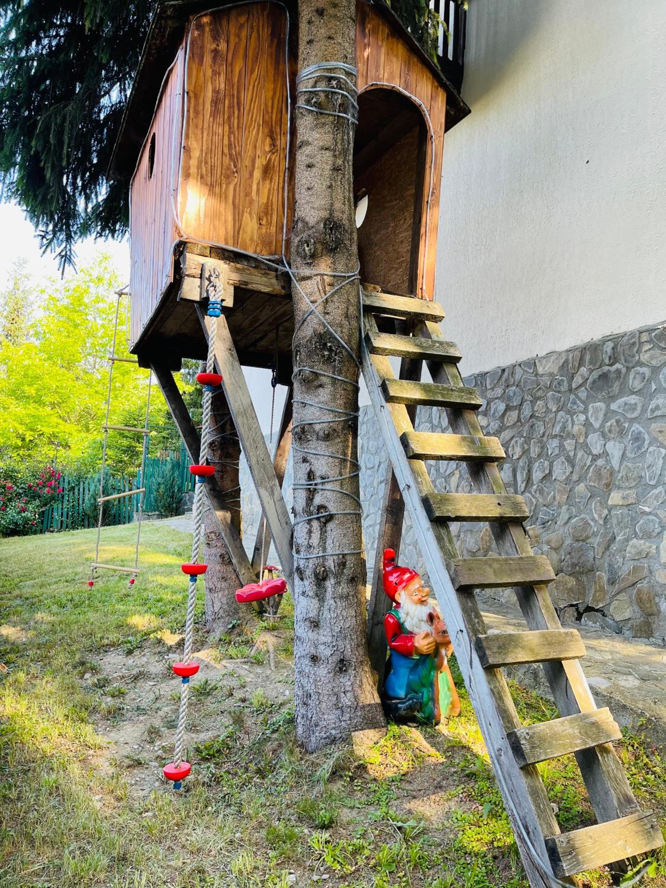 Casa Renilor