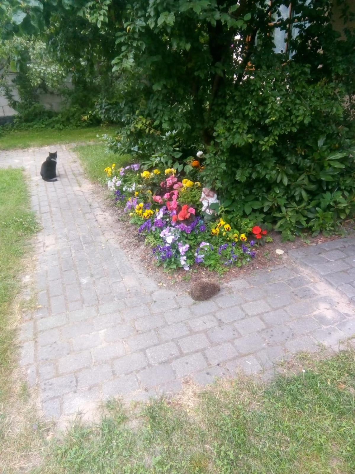 Photo 16