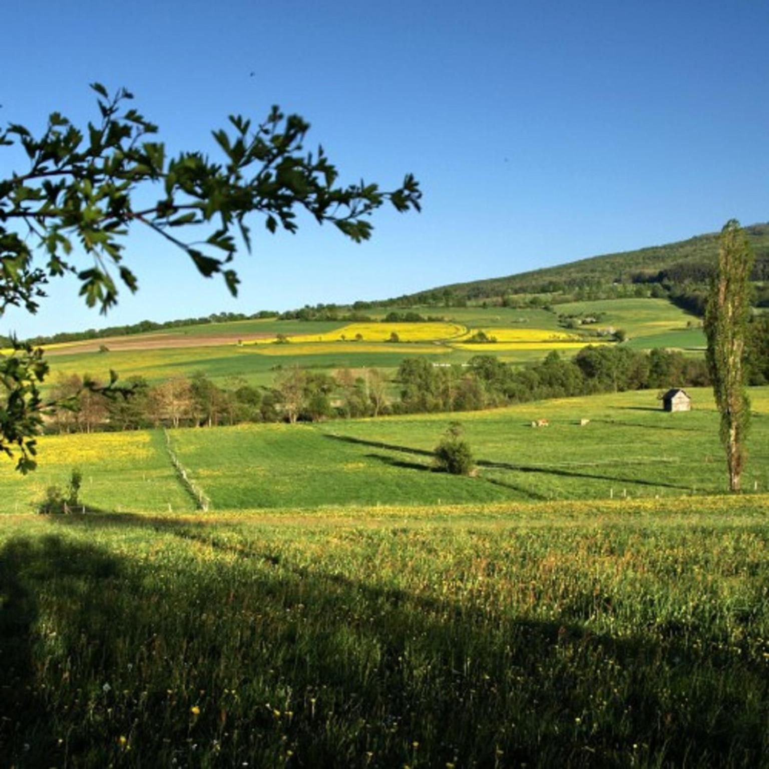 Ferienhaus Birx