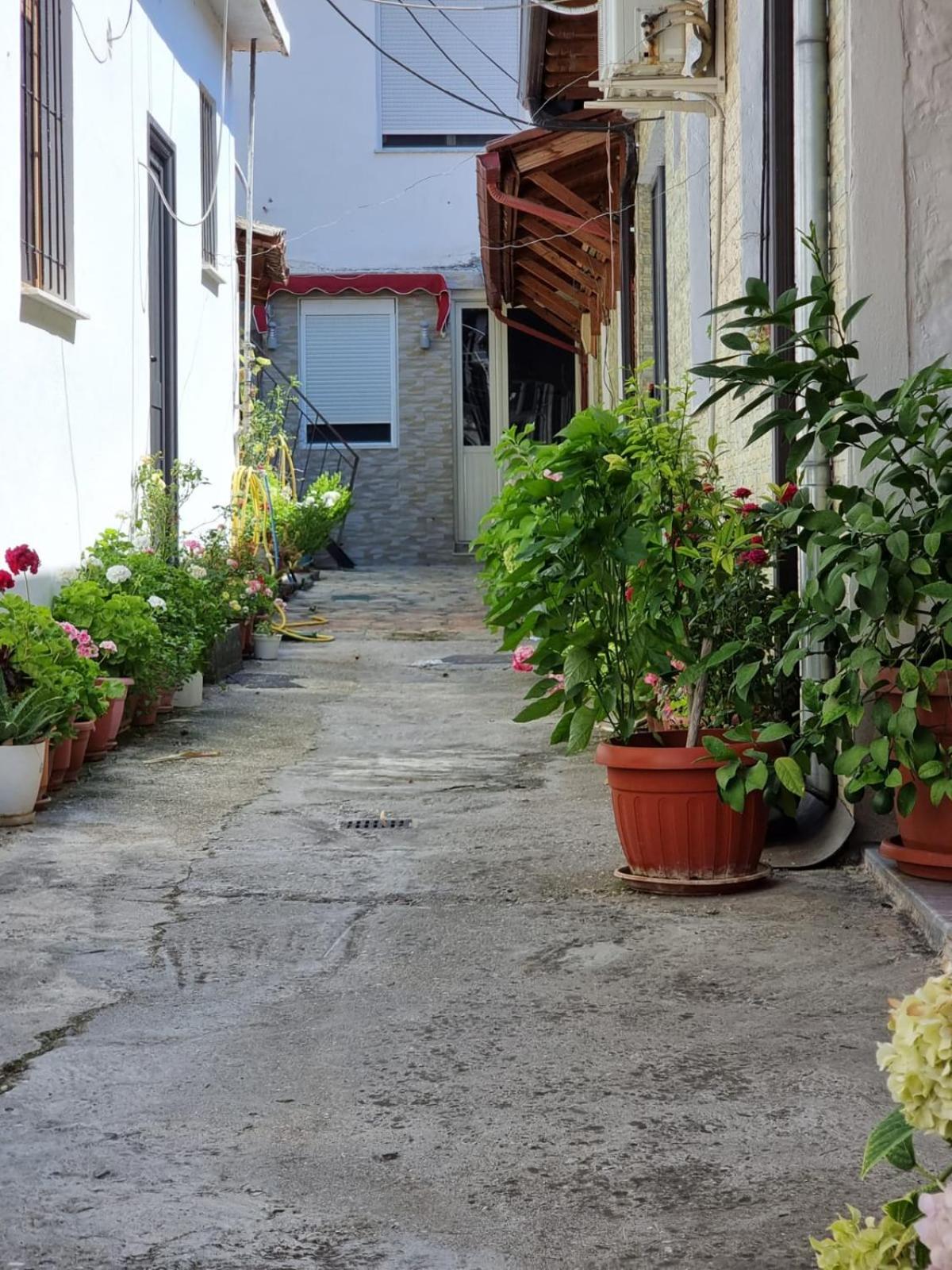 Herta Apartment