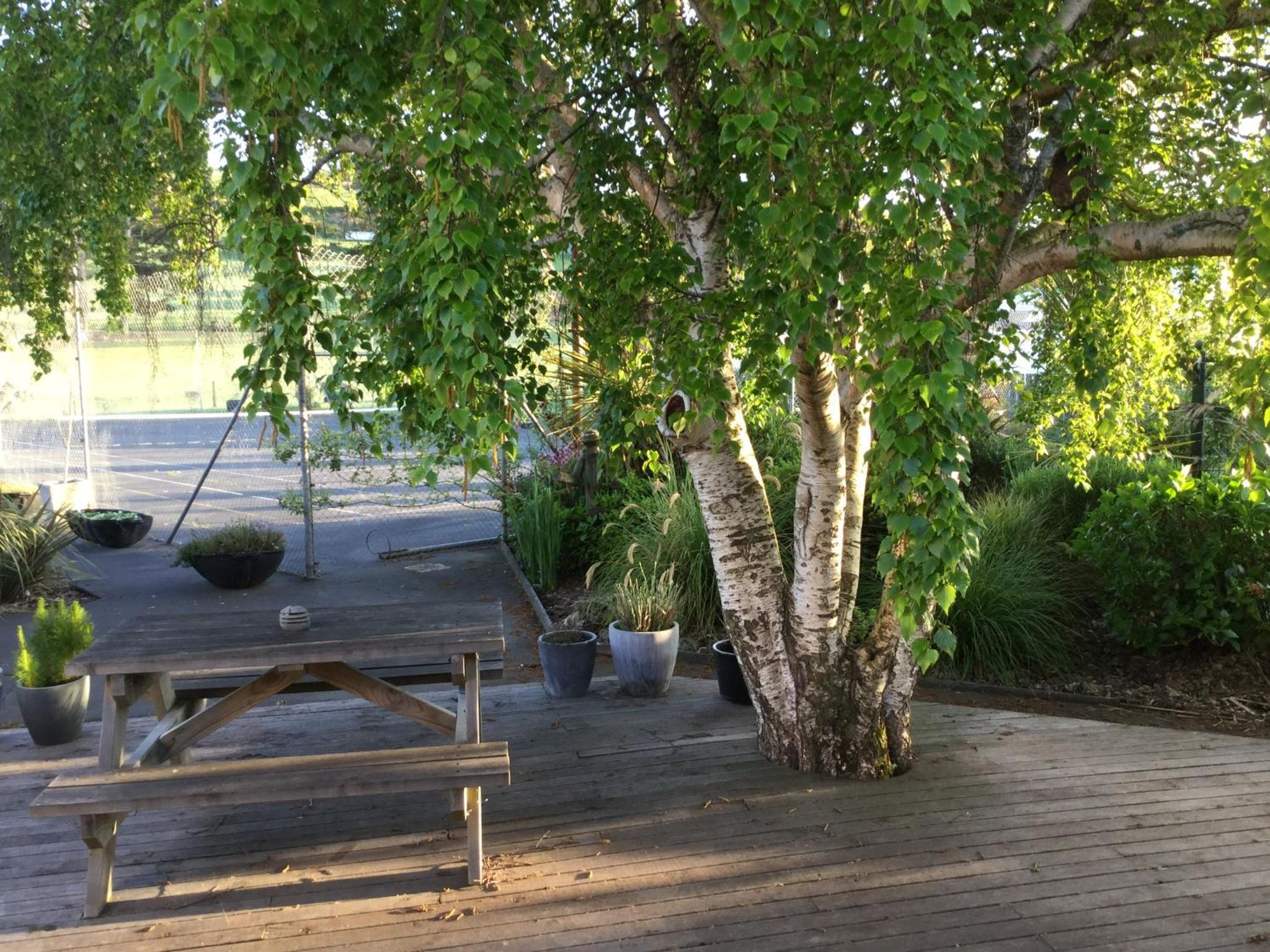 Photo 15