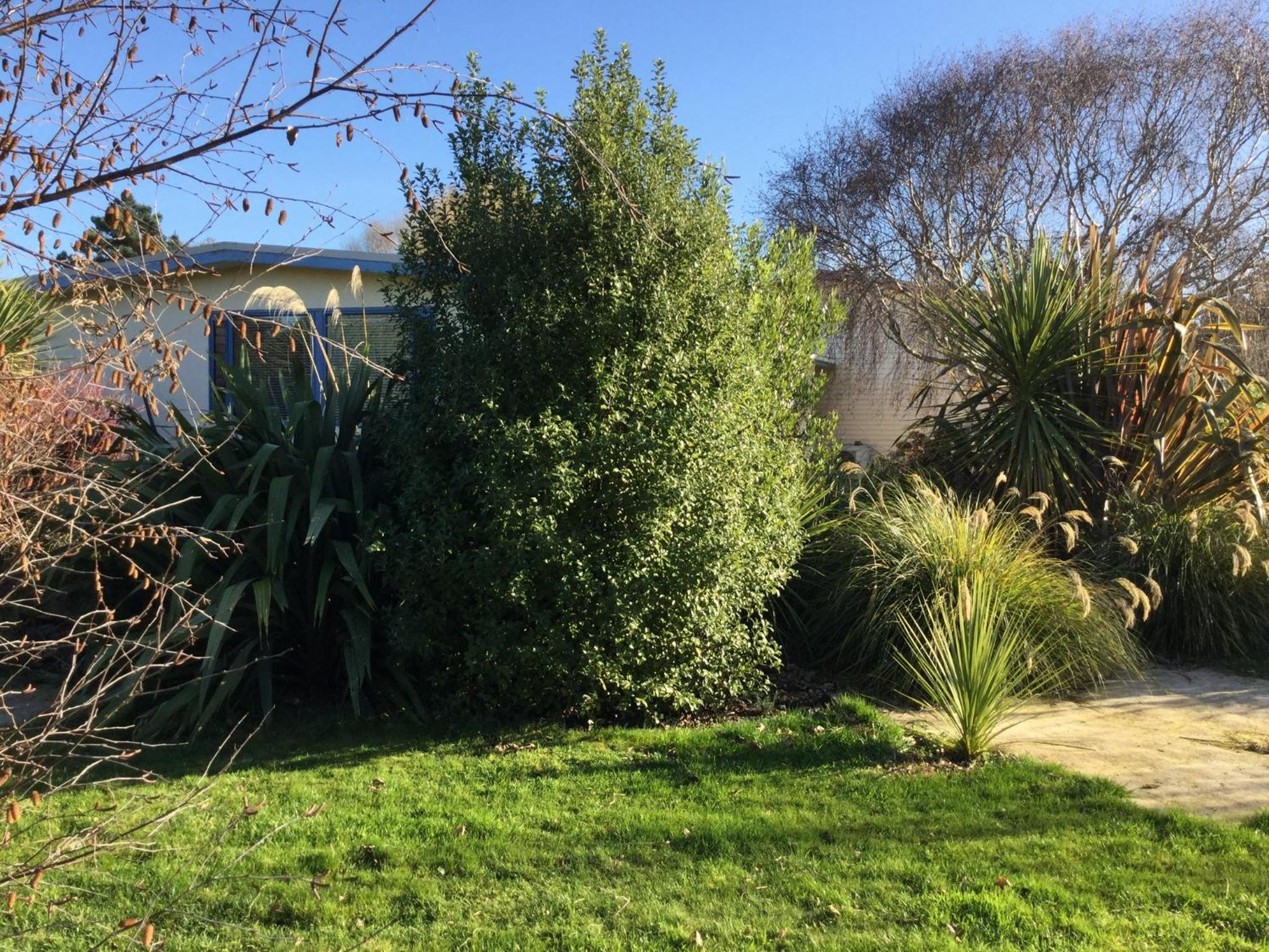 Photo 19