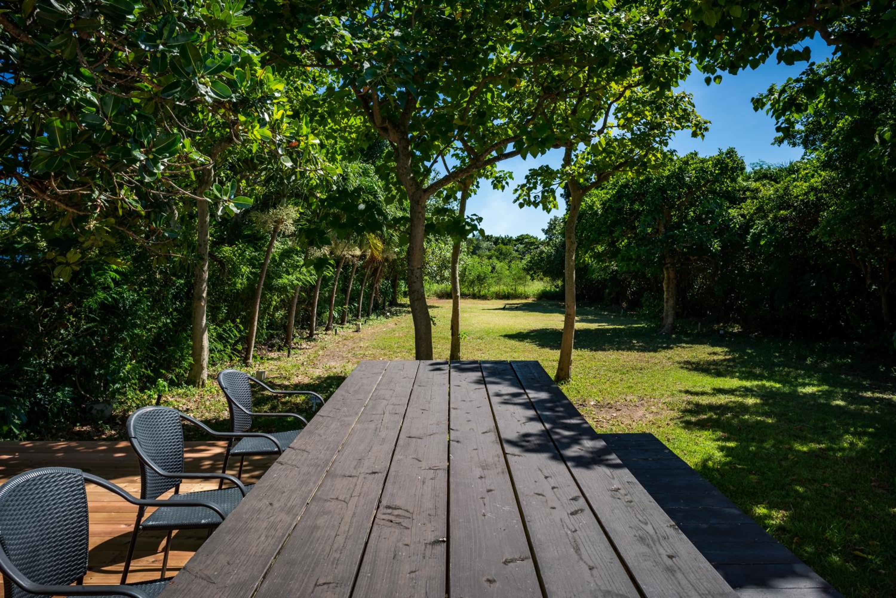 Palm Villa Ishigakijima igusa