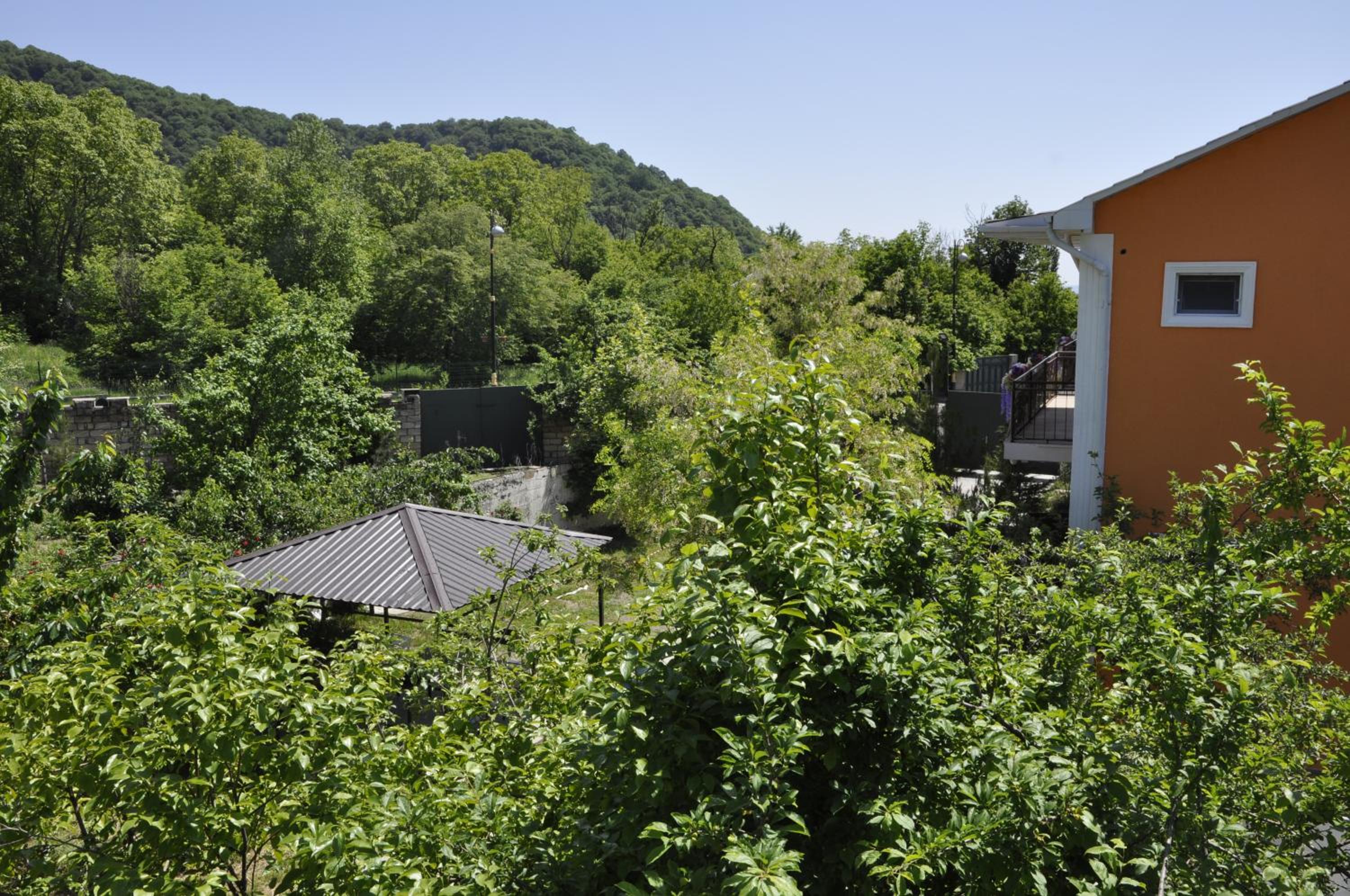 Apartments Firuze